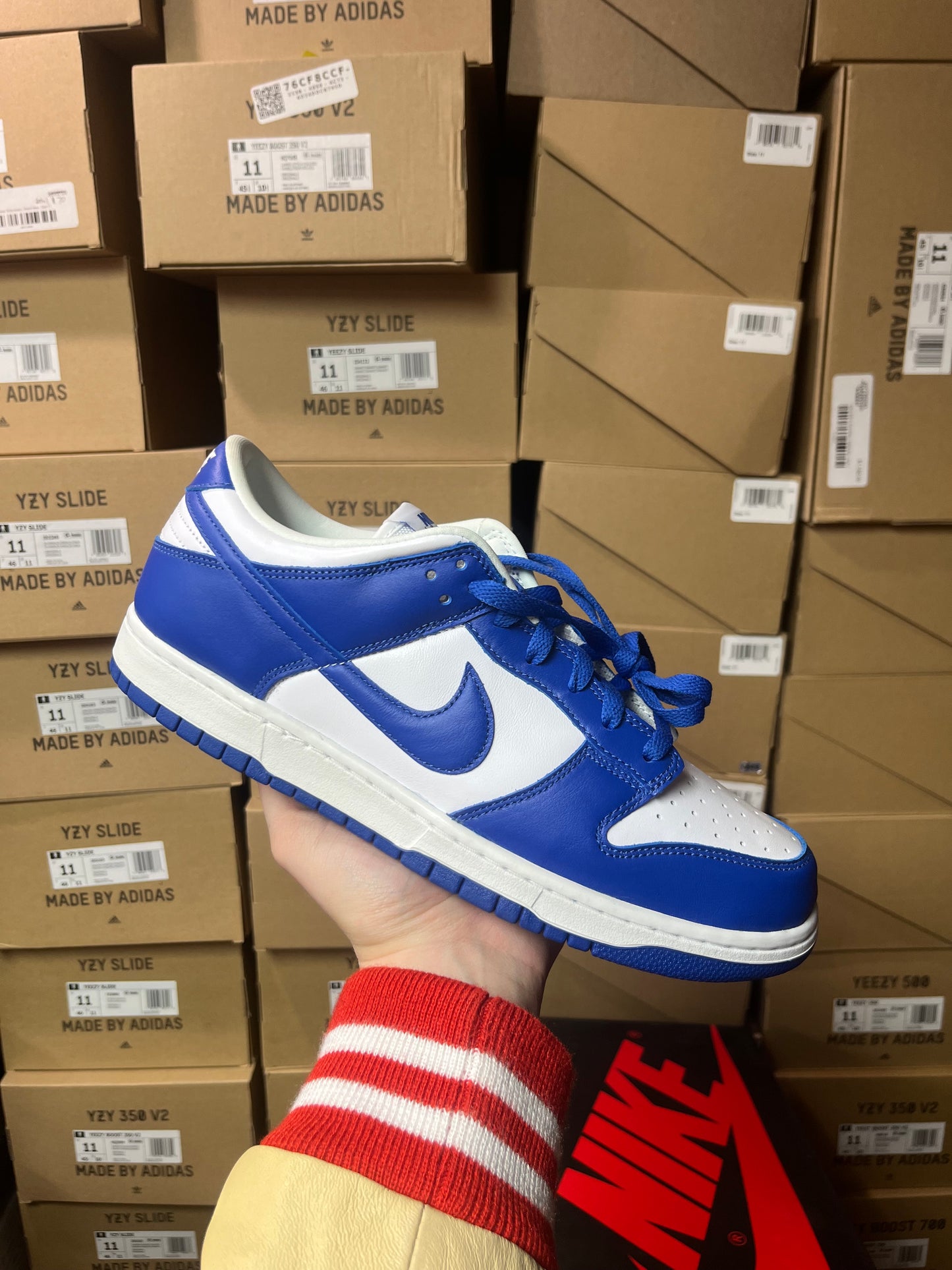 Dunk Low Kentucky / Brand New
