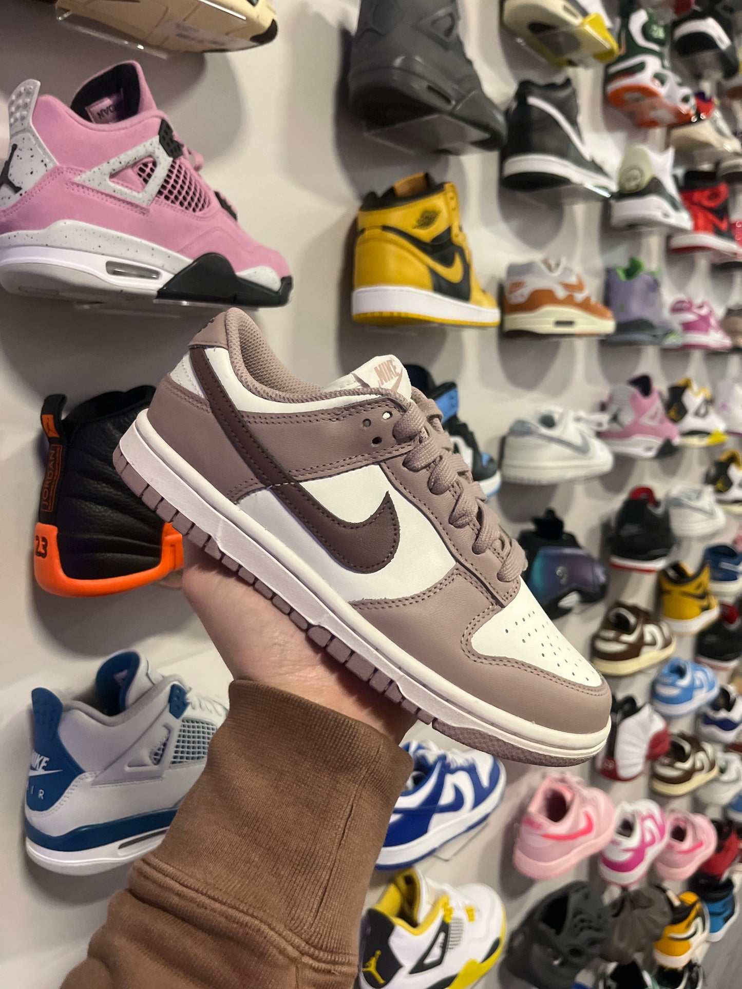 Dunk Low Diffused Taupe / Brand New