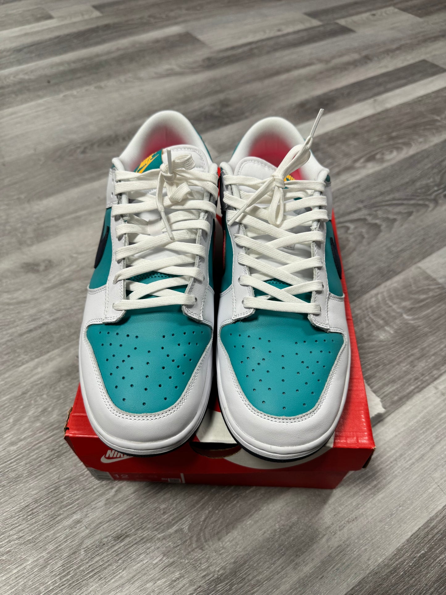 Dunk Low Dusty Cactus 🌵/ Preowned