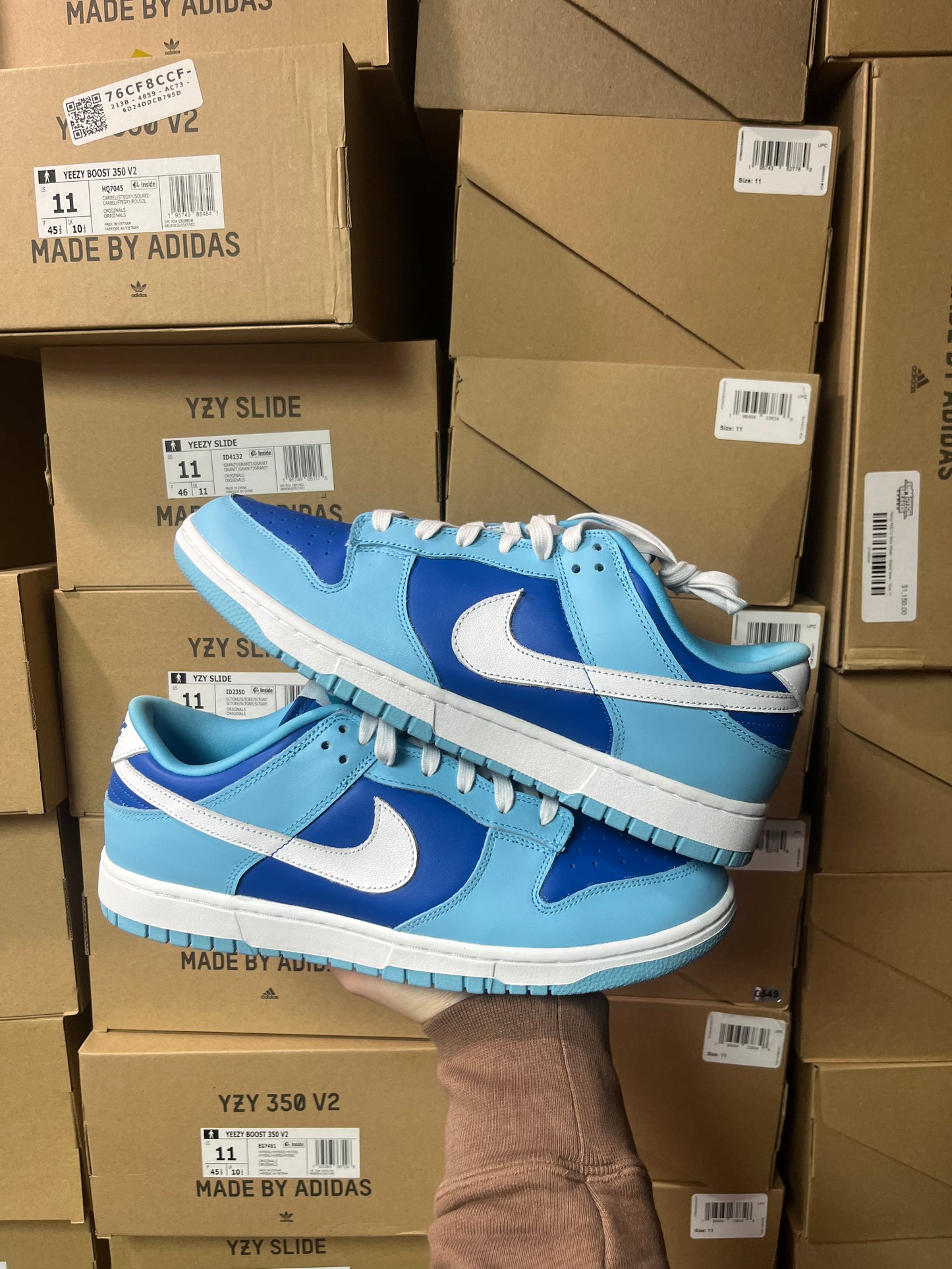 Dunk Low Argon / Brand New