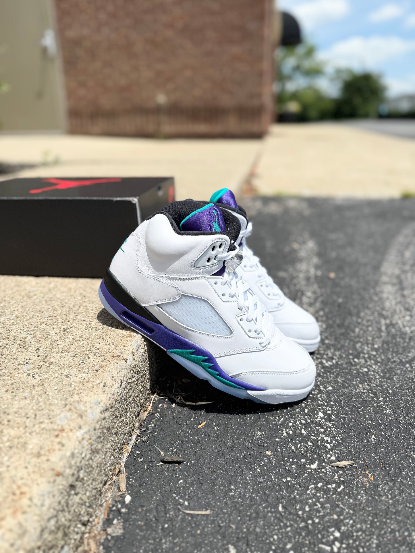 Jordan 5 Grape (2025) / Brand New