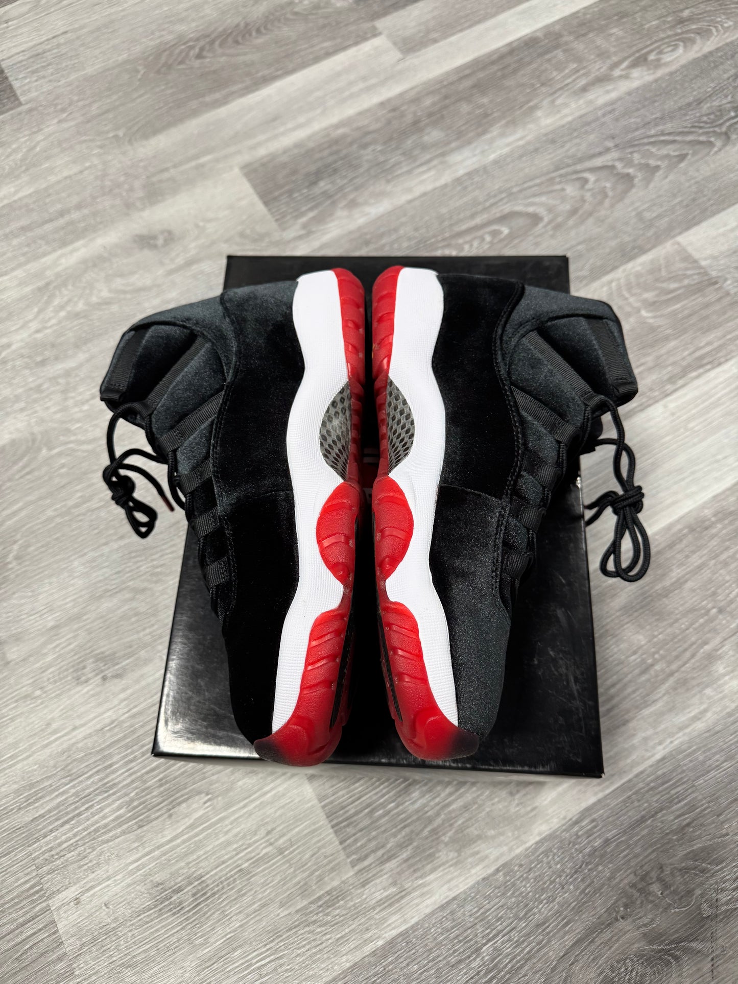 Jordan 11 Velvet Bred / Preowned