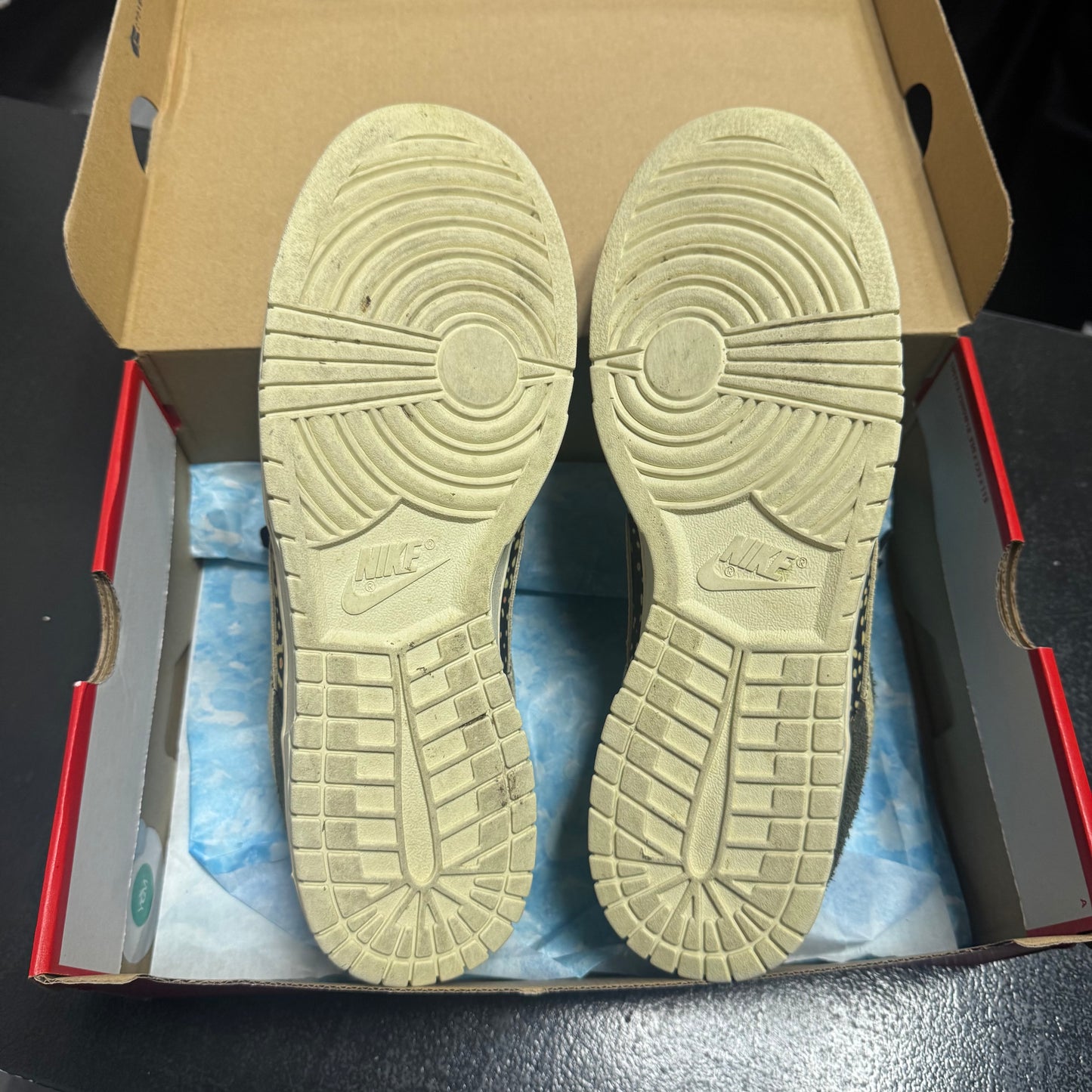 Dunk Low Rainbow Trout / Preowned