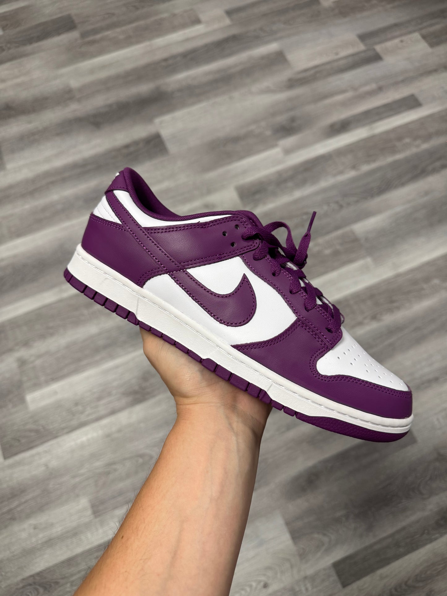 Dunk Low Viotech / Brand New