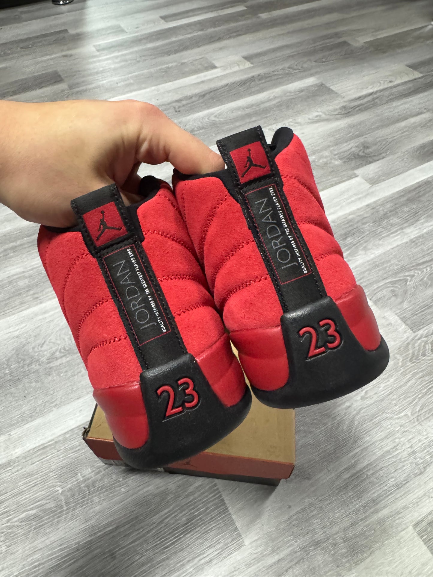 Jordan 12 Reverse Flu Game / Preowned