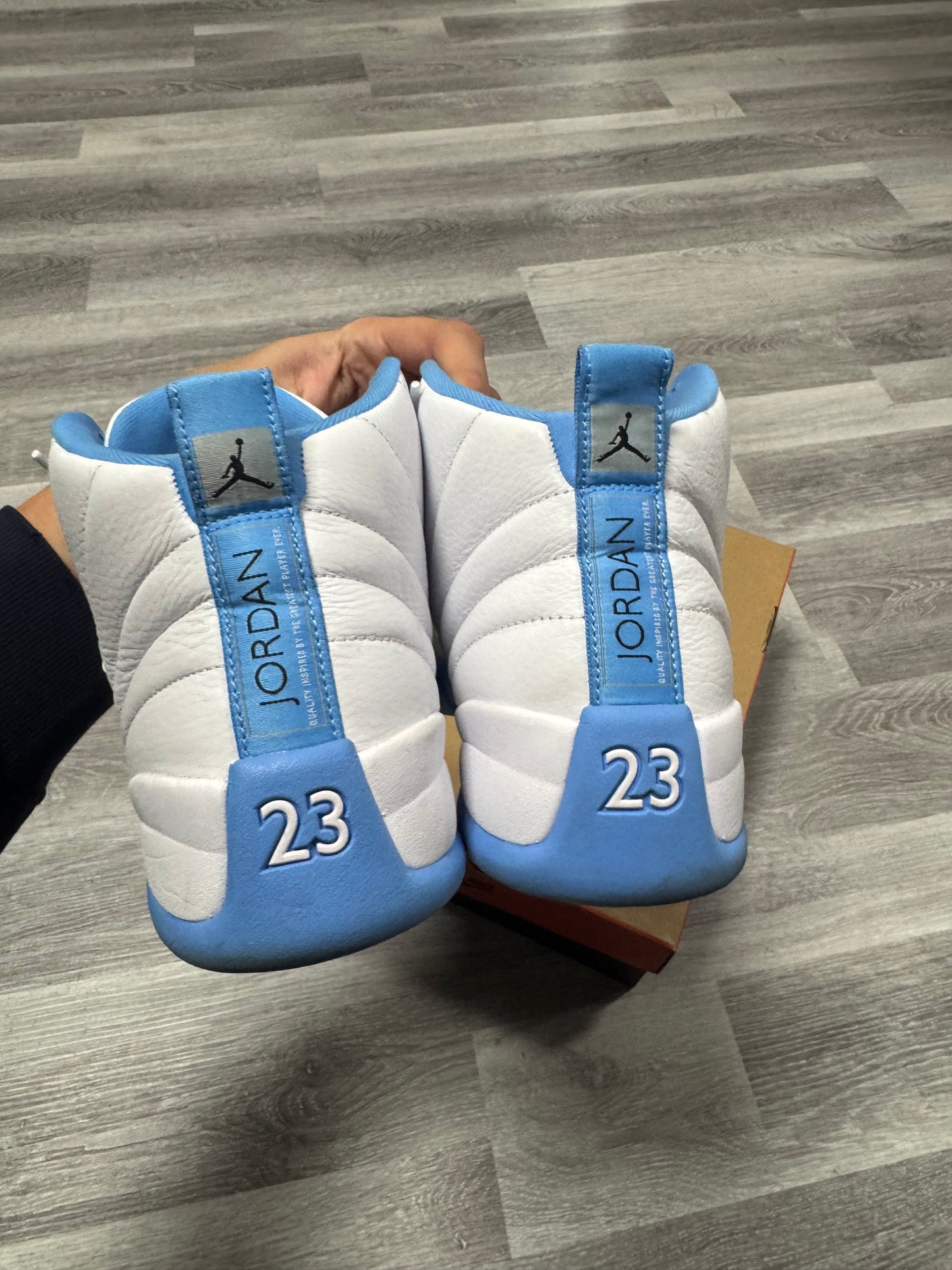 Jordan 12 Melo / Preowned