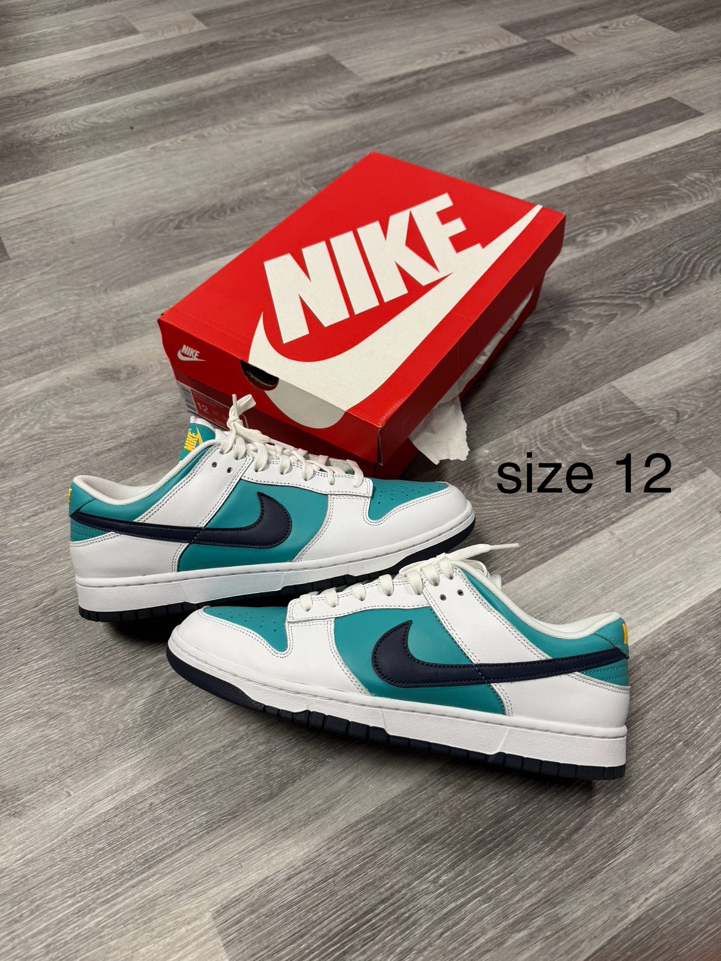 Dunk Low Dusty Cactus 🌵/ Preowned