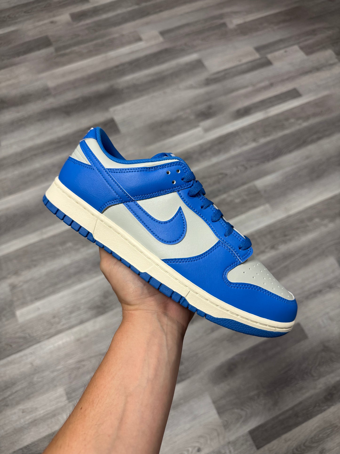 Dunk Low Detroit Lions / Brand New