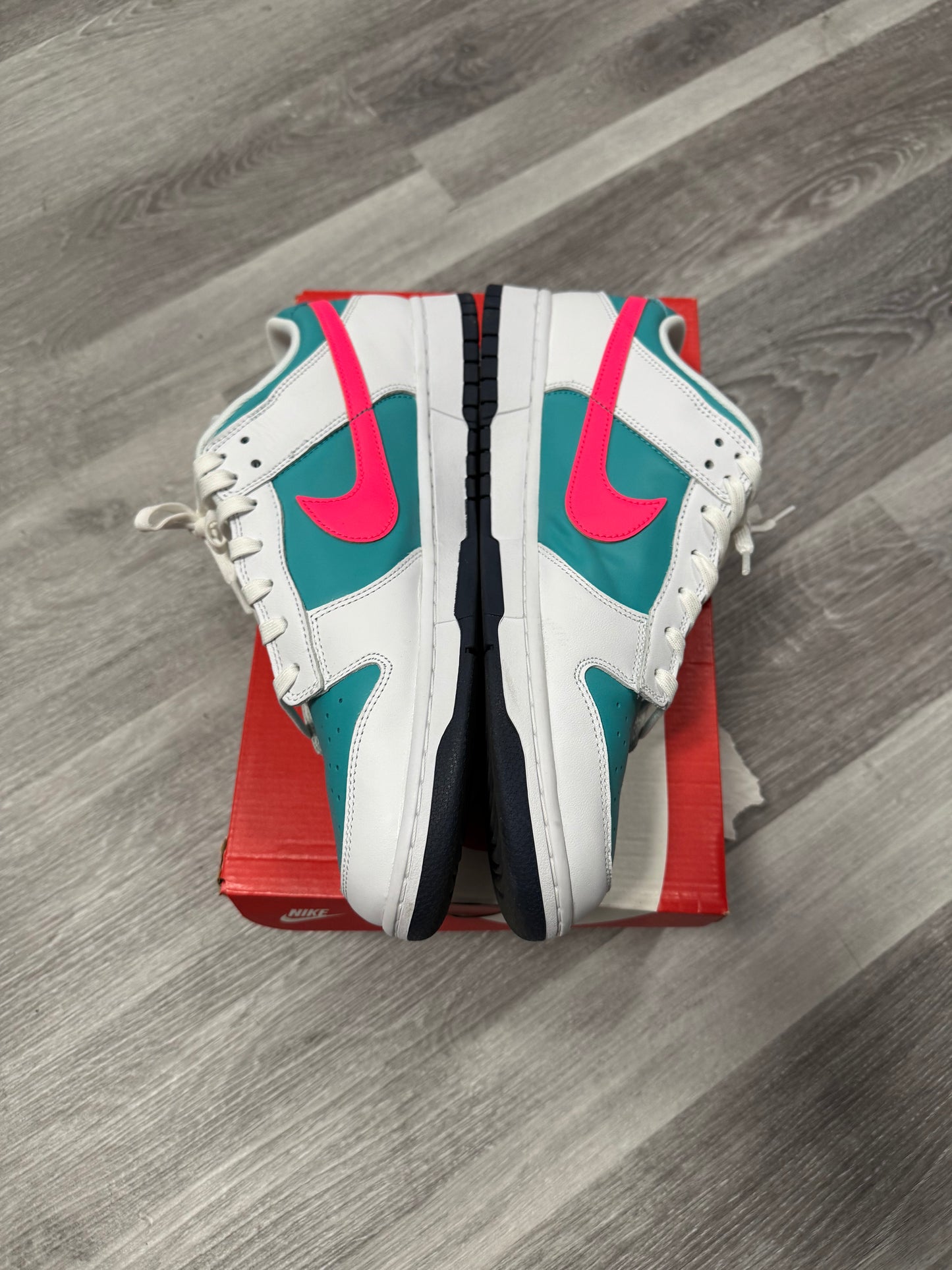 Dunk Low Dusty Cactus 🌵/ Preowned