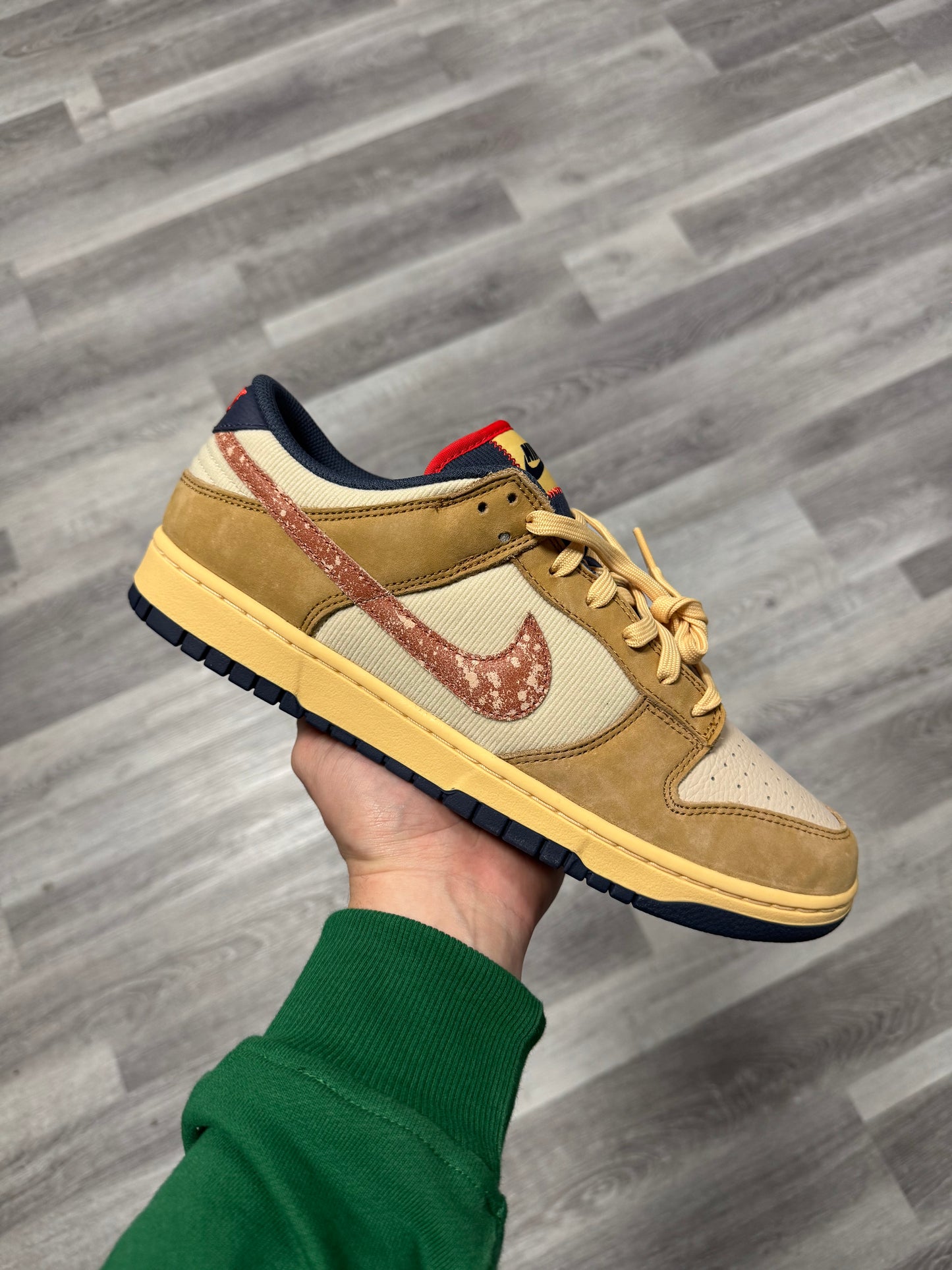 Dunk Low Sketch and Exploration / Brand New