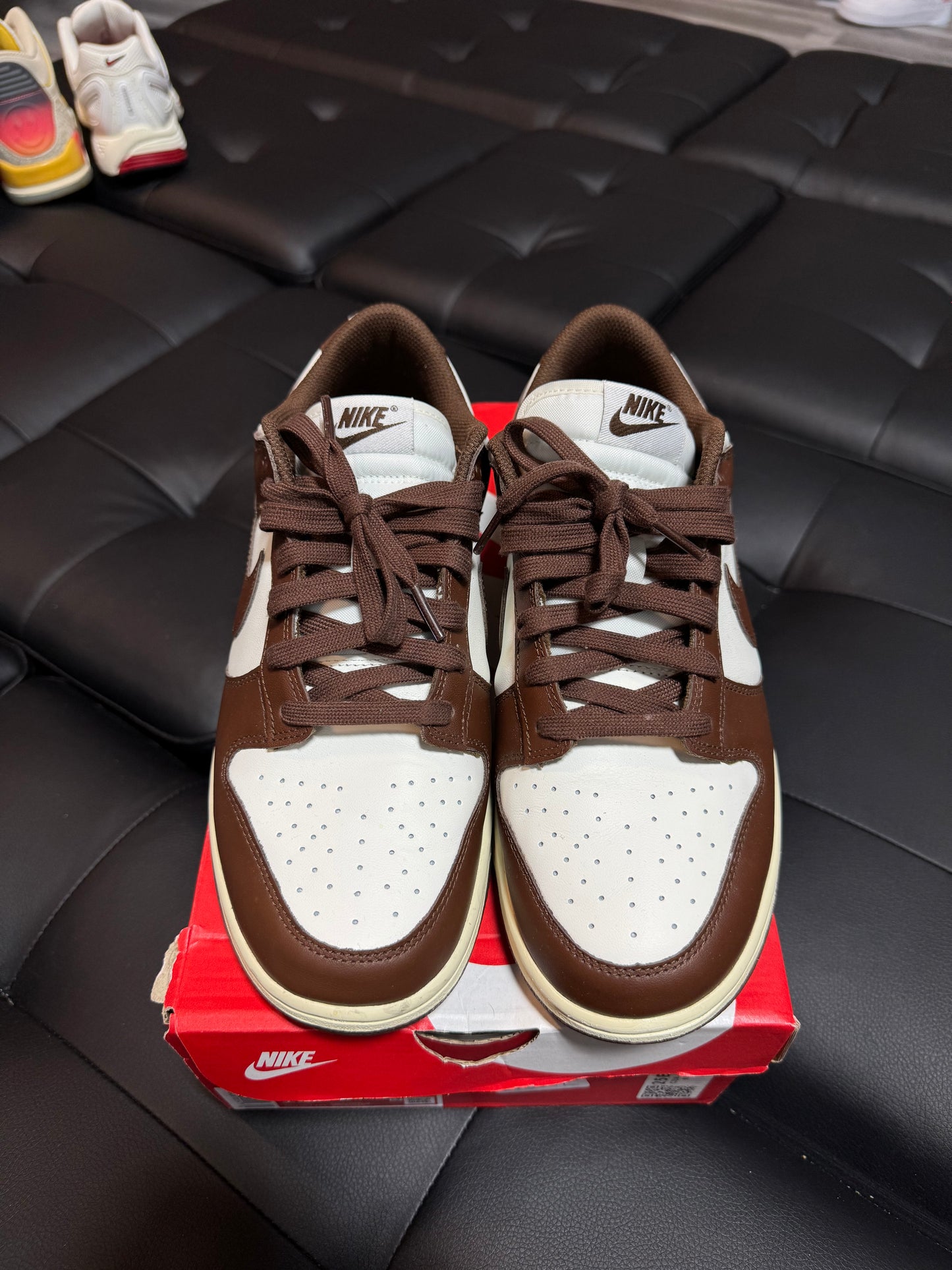 Dunk Low Cacao / Preowned