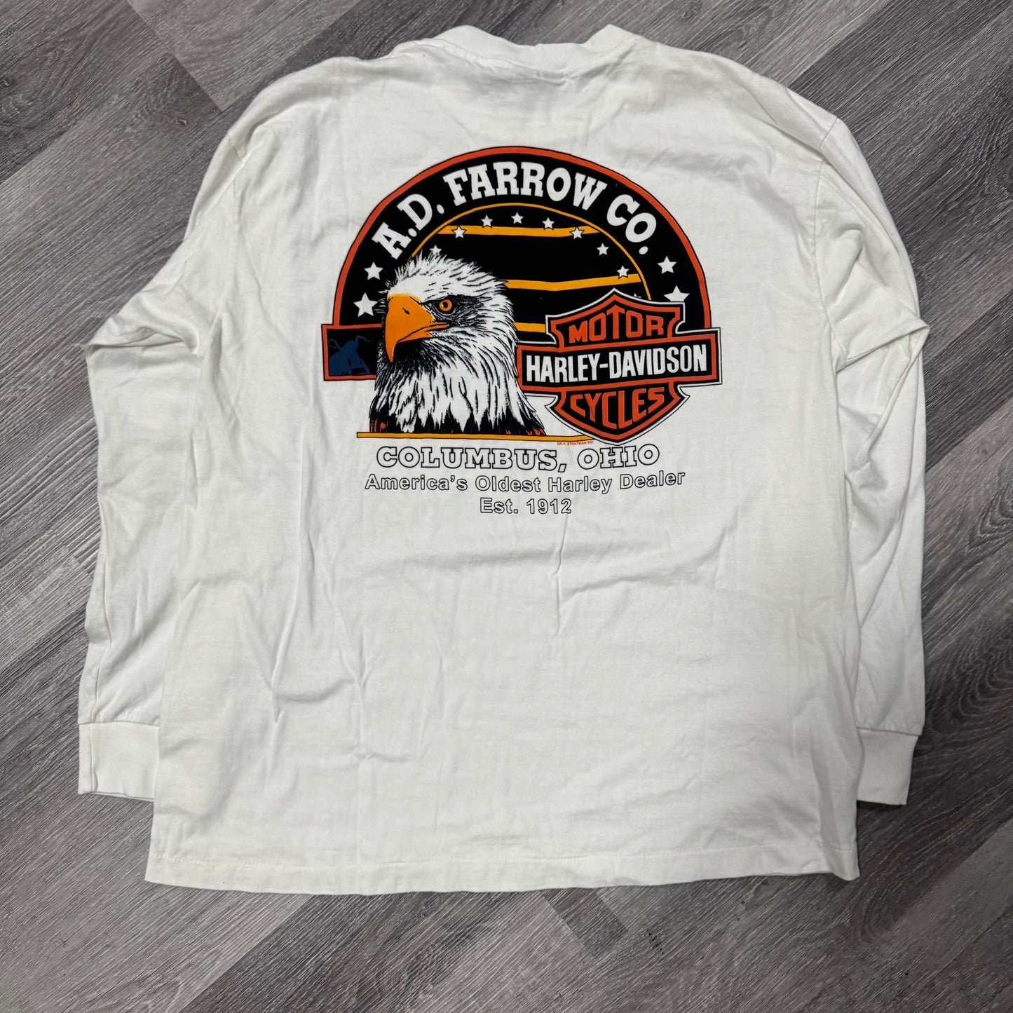 Harley Davidson Blue Flame Longsleeve Tee