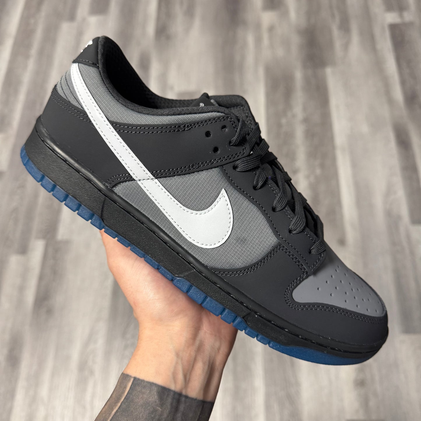 Dunk Low Anthracite / Brand New