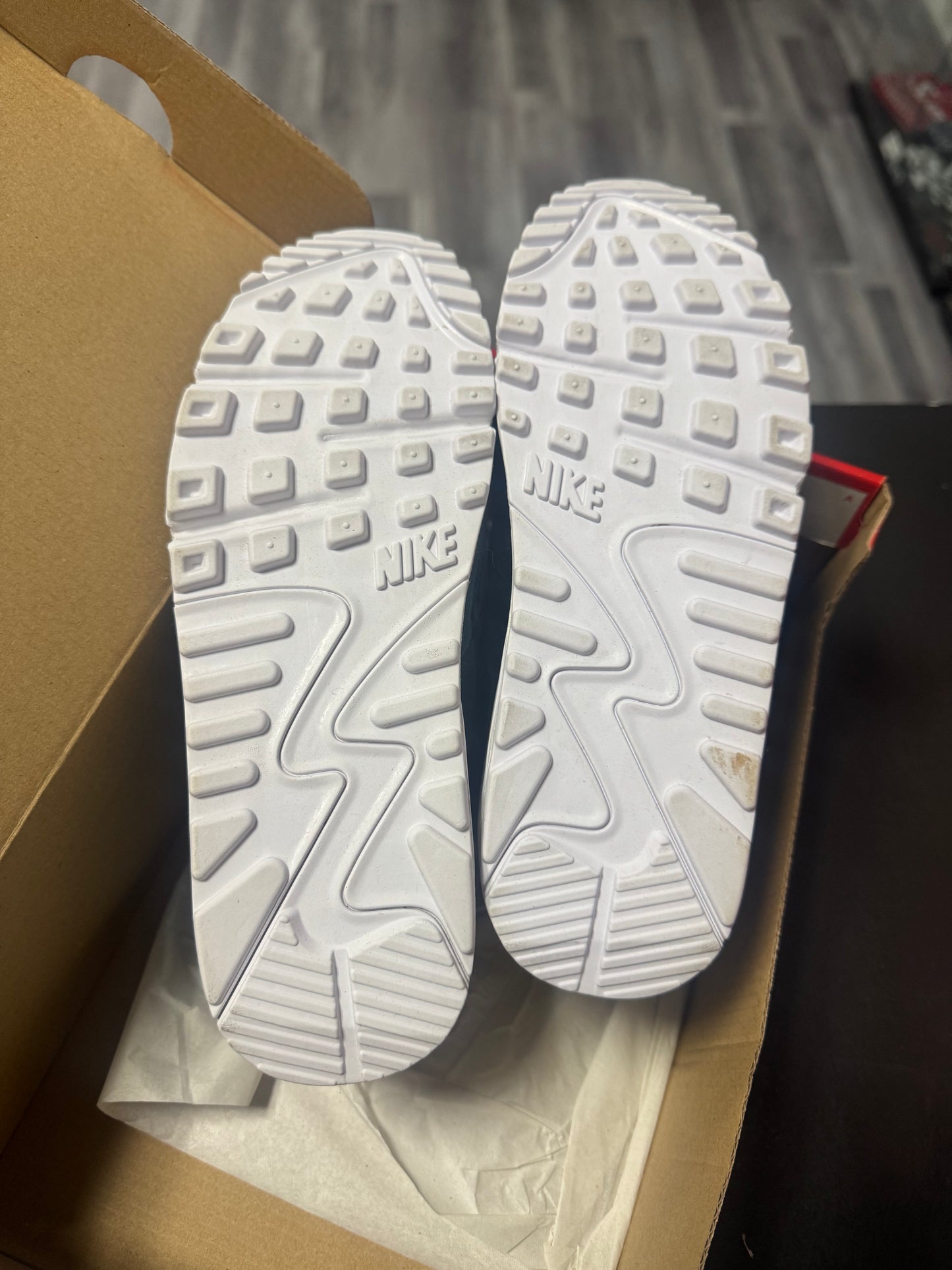 Air Max 90 Lucky Charms Ash Green / Preowned