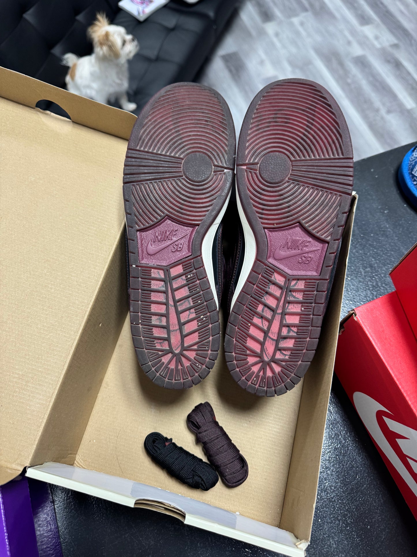 Dunk Low SB Riot / Preowned