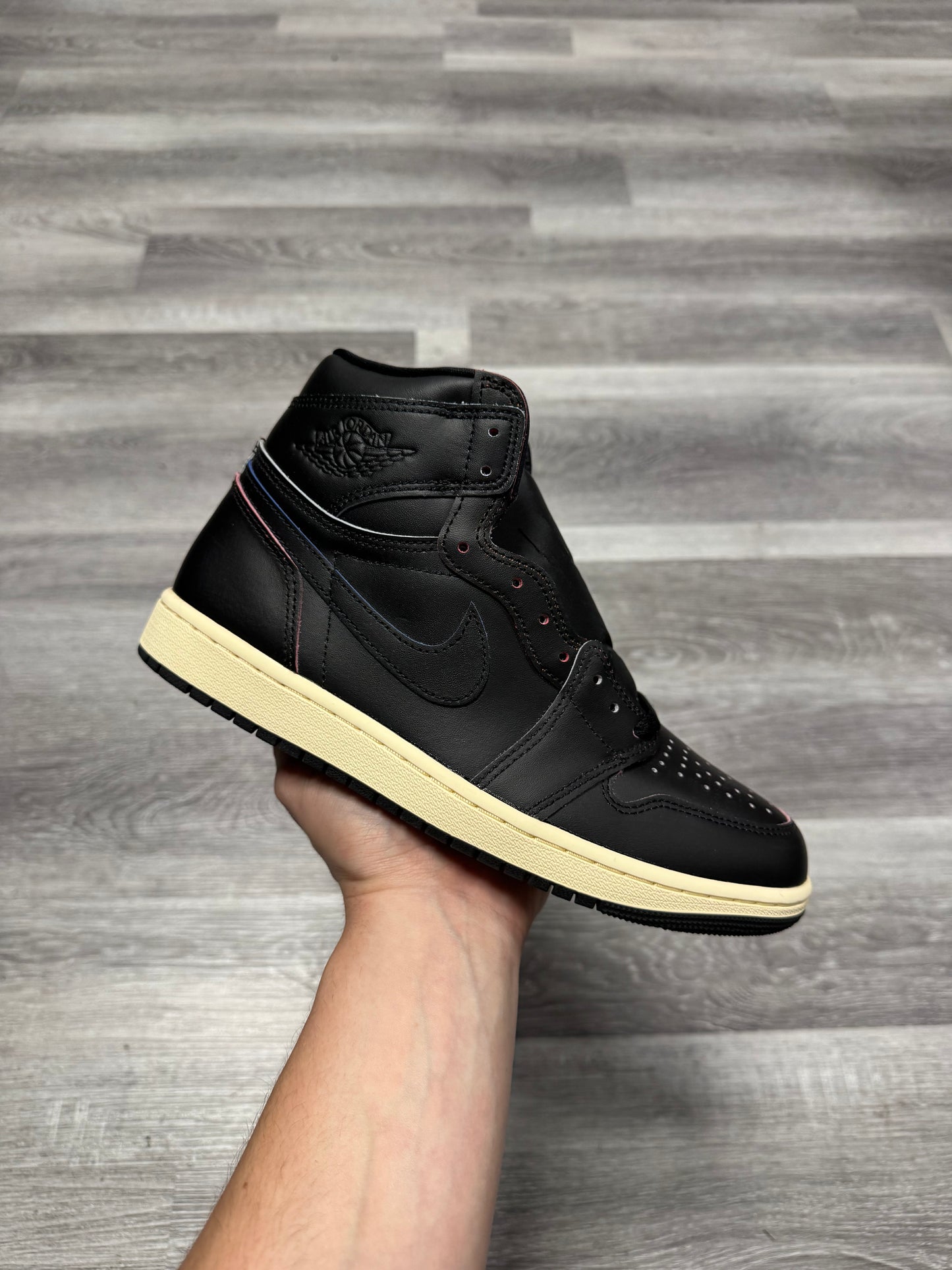 Jordan 1 Self Expression / Brand New