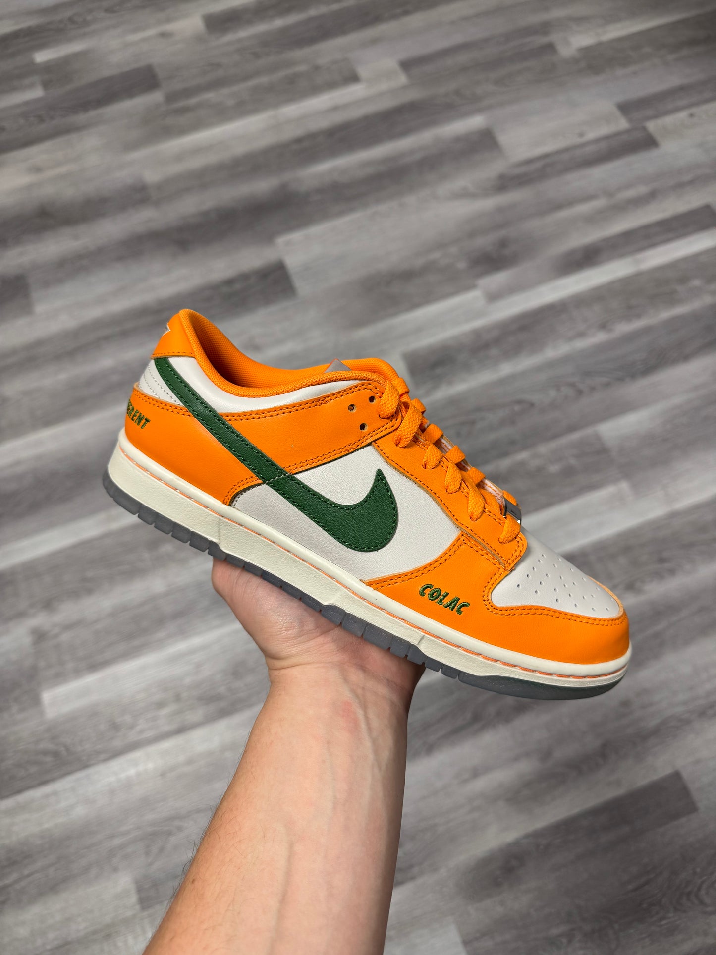 Dunk Low Florida A&M FAMU Rattlers / Brand New