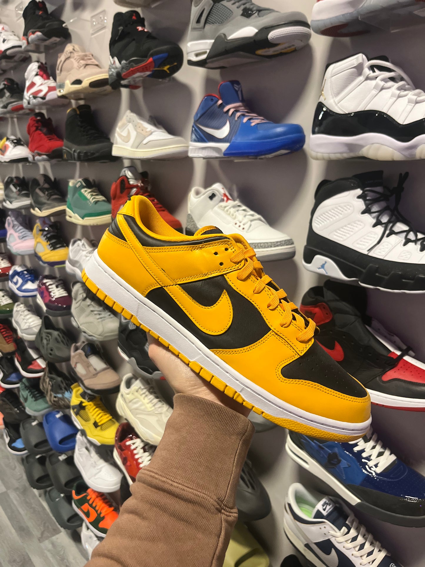 Dunk Low Goldenrod / Brand New