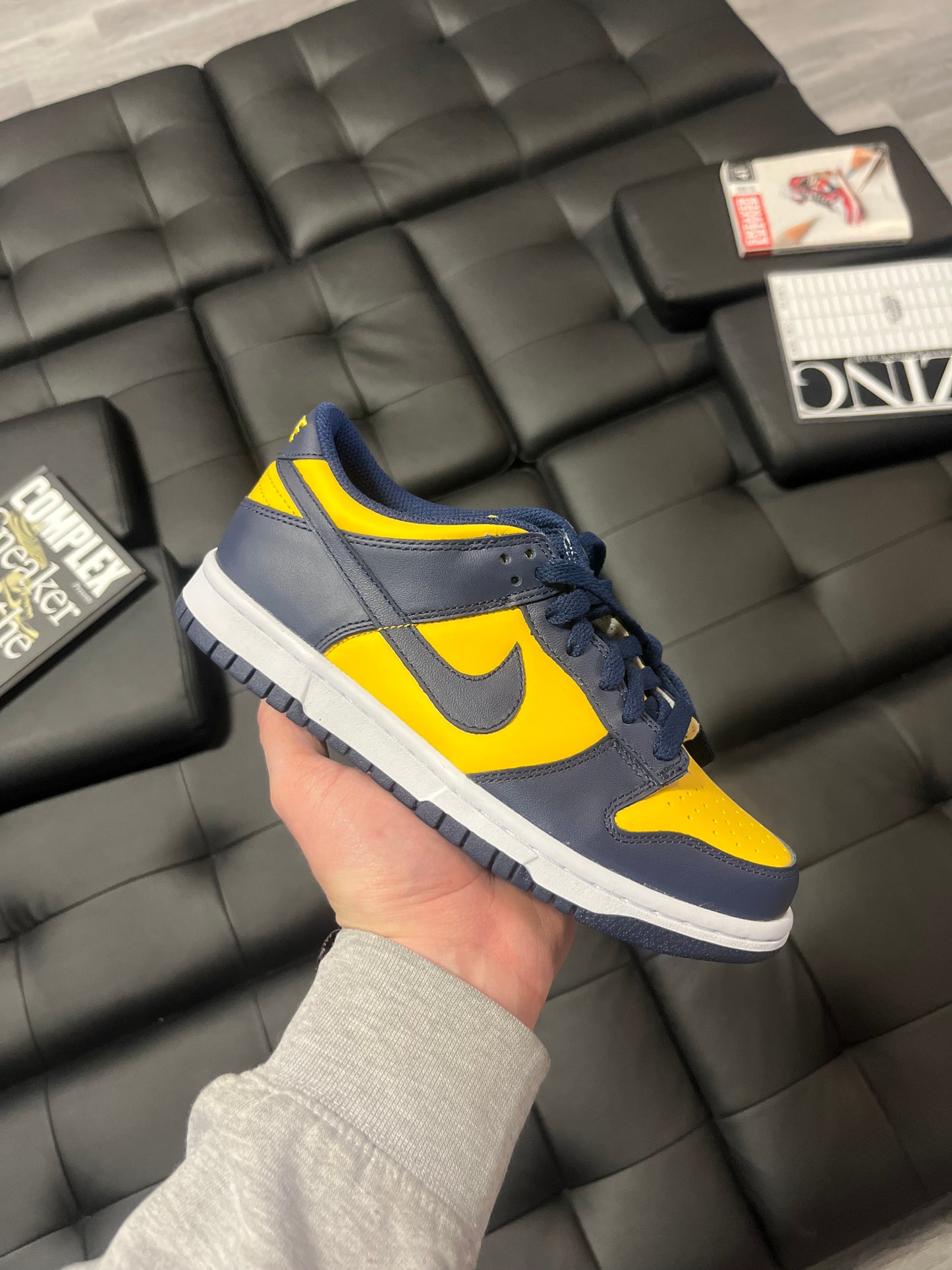 Dunk Low Michigan / Brand New