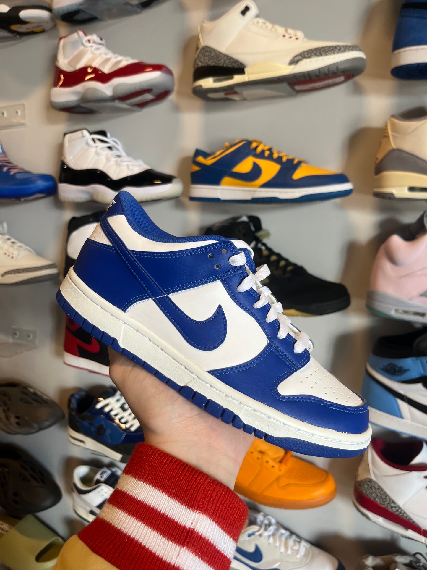 Dunk Low Racer Blue (KY) / Brand New