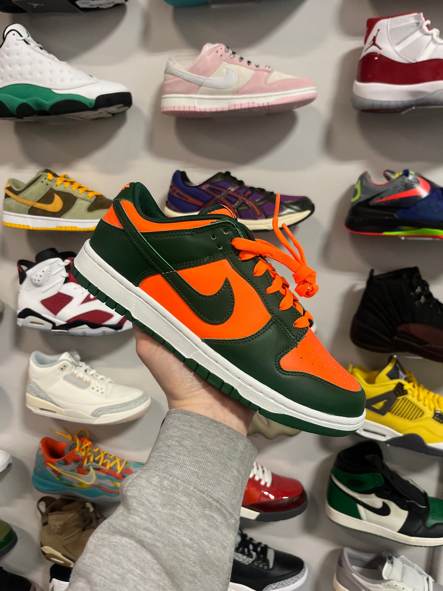 Dunk Low Miami Hurricane / Brand New