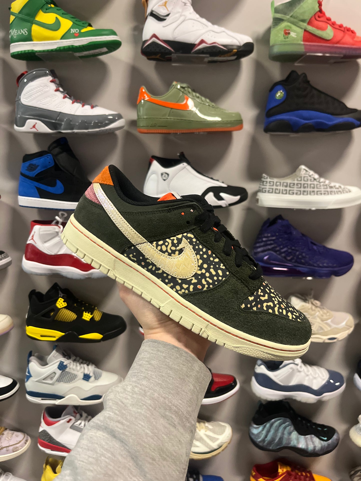 Dunk Low Rainbow Trout / Brand New
