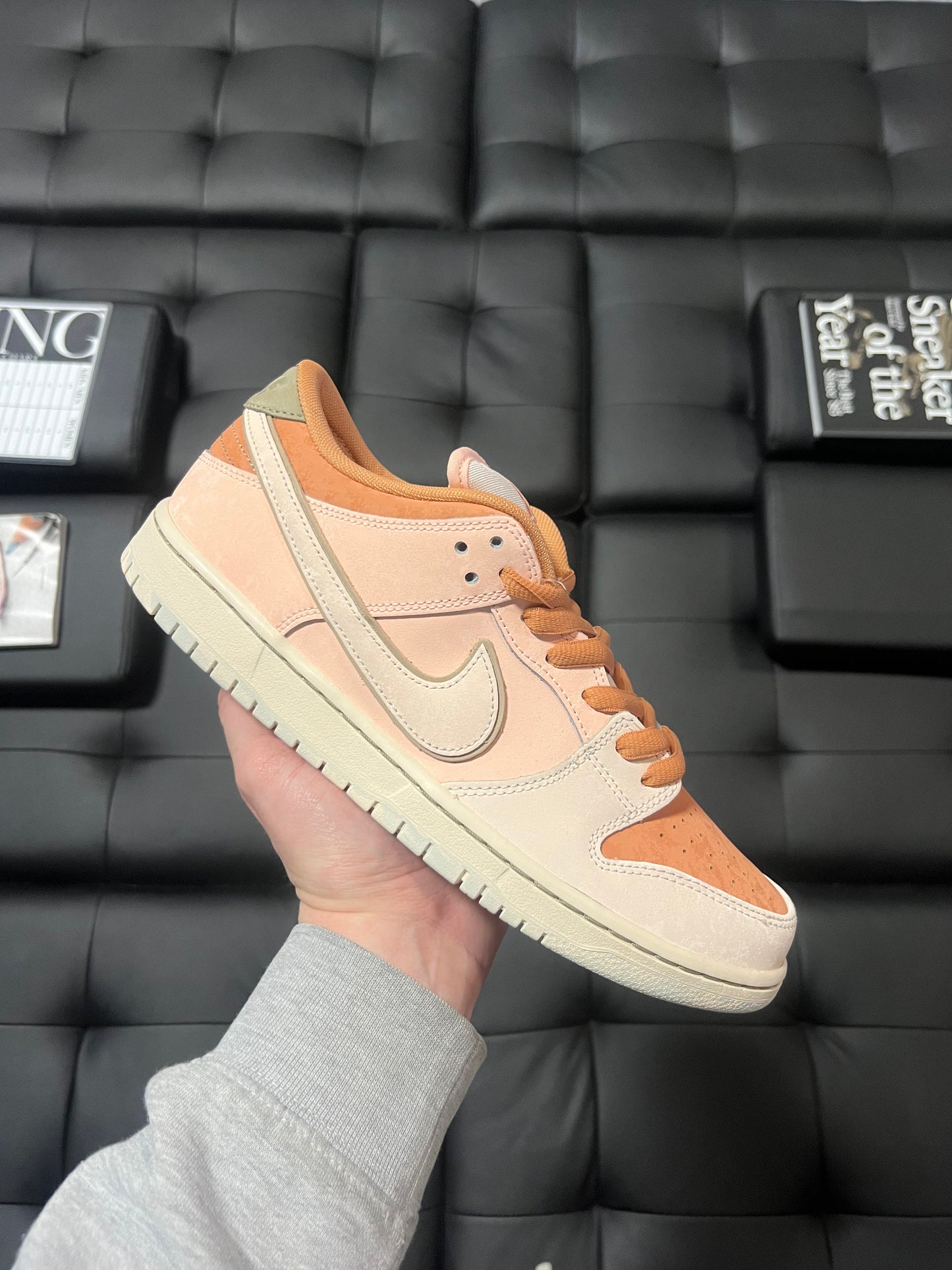 Dunk Low SB Trocadéro Garden / Brand New