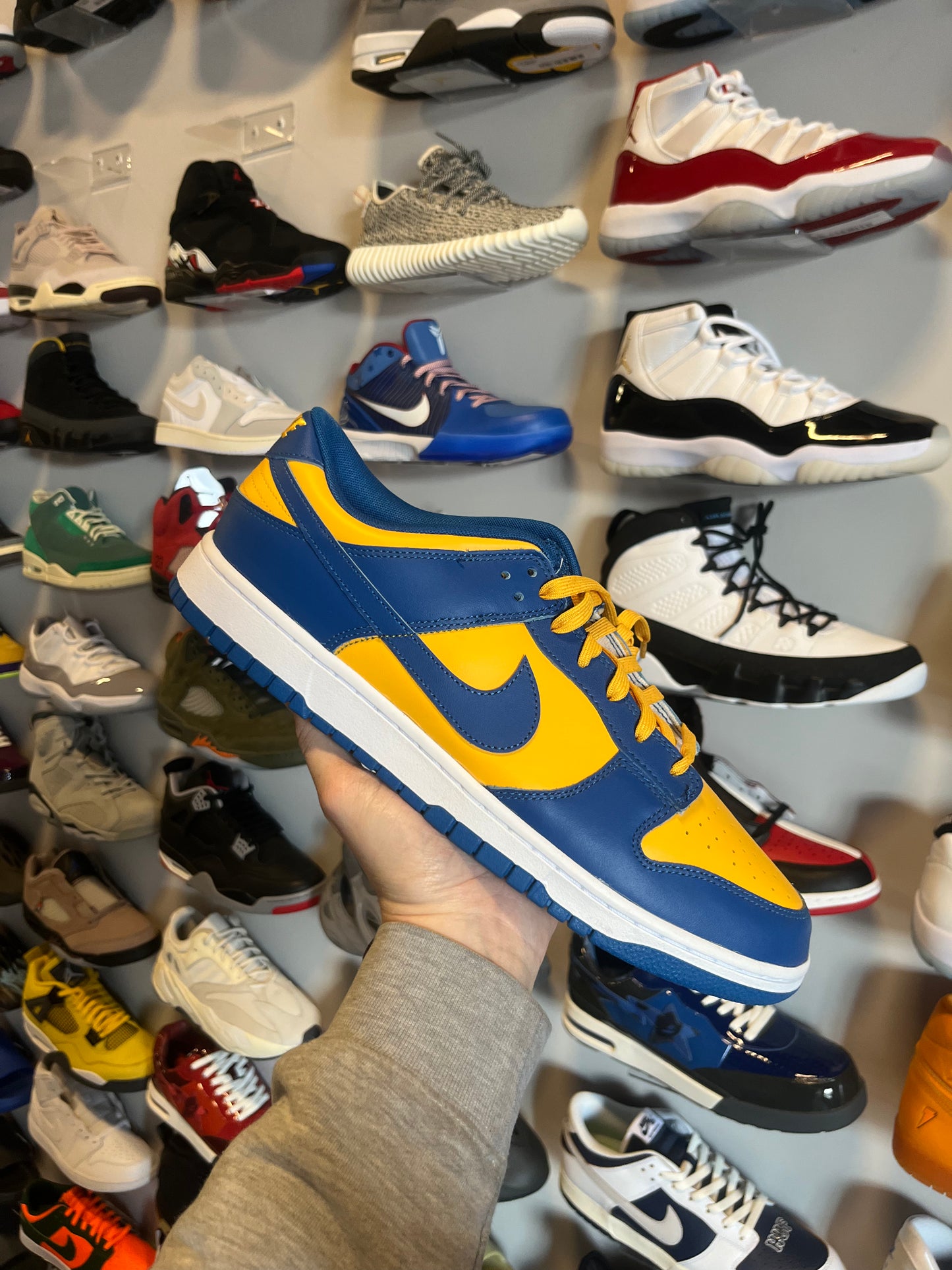 Dunk Low UCLA / Brand New