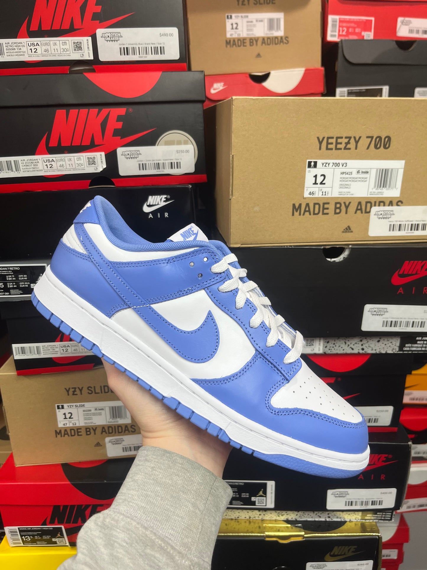 Dunk Low Polar Blue / Brand New