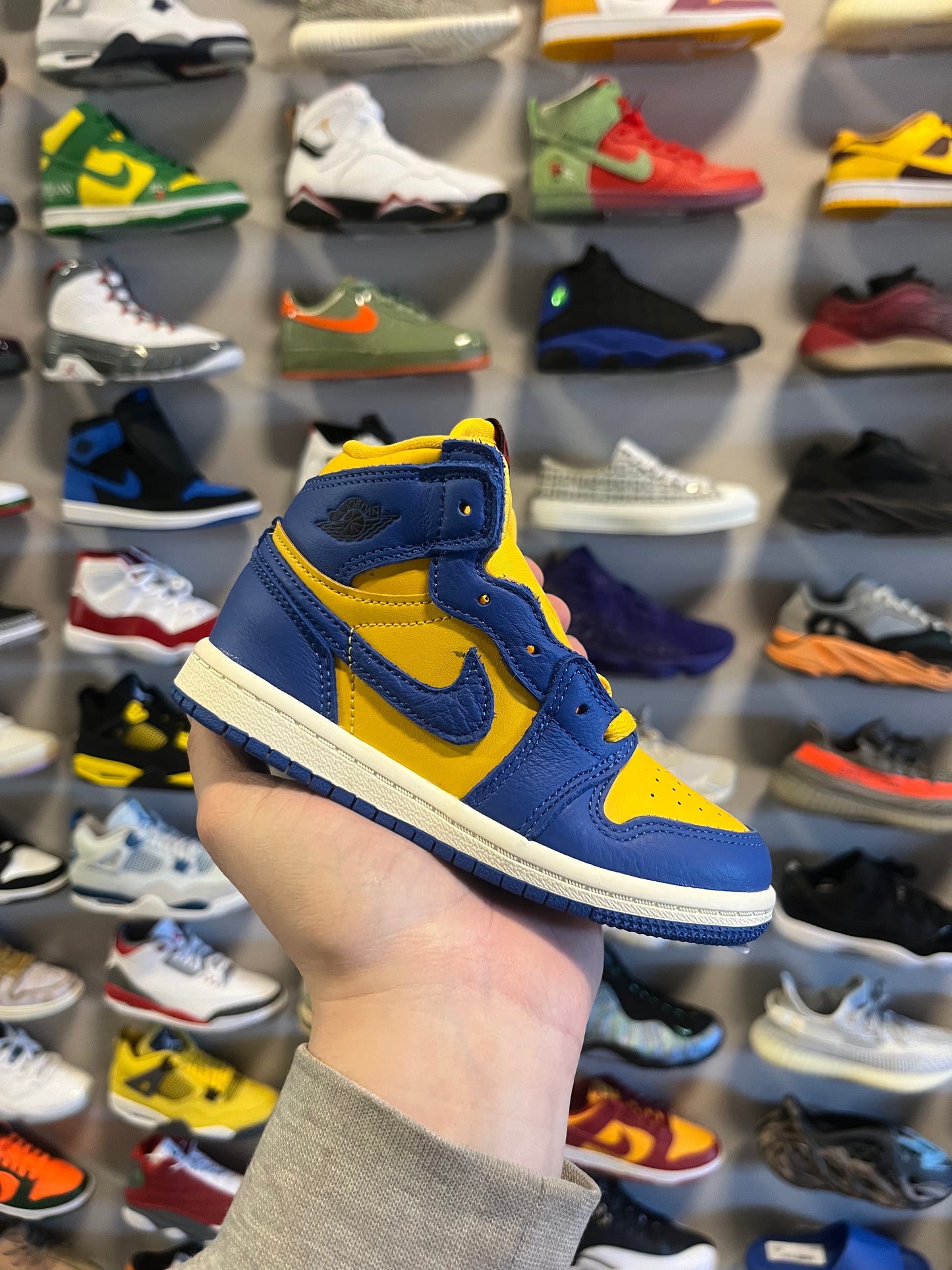Jordan 1 Laney / Brand New