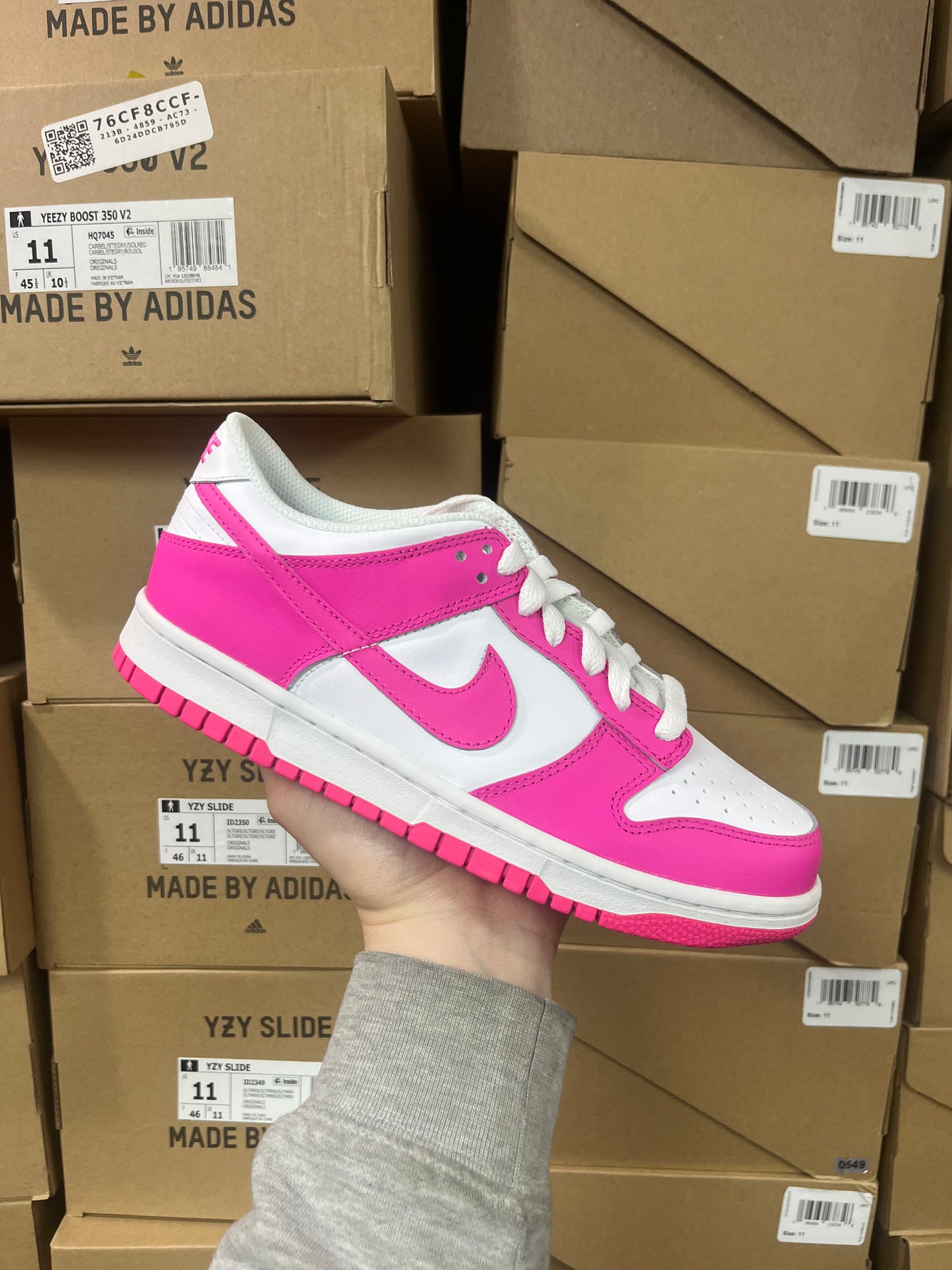 Dunk Low Fuscia / Brand New