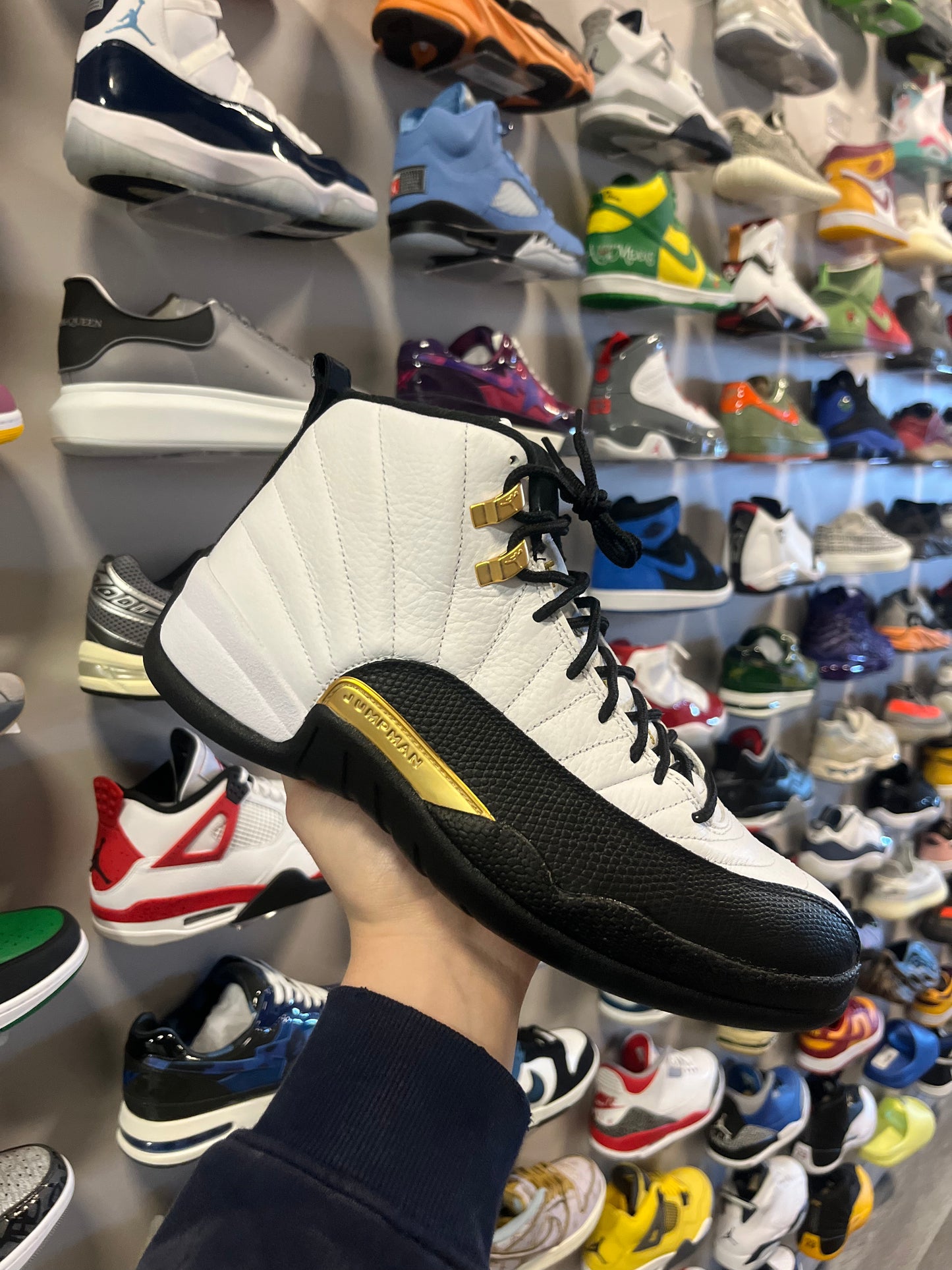 Jordan 12 Royalty / Brand New
