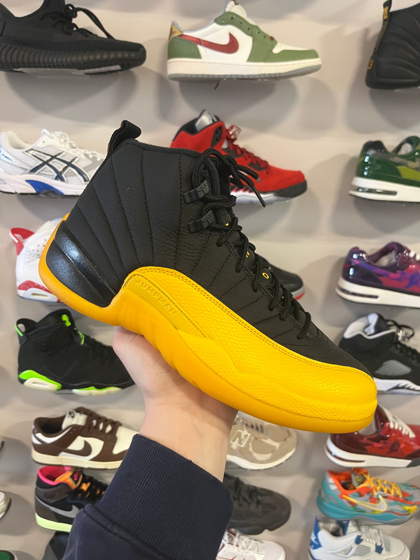 Jordan 12 University Gold / Brand New