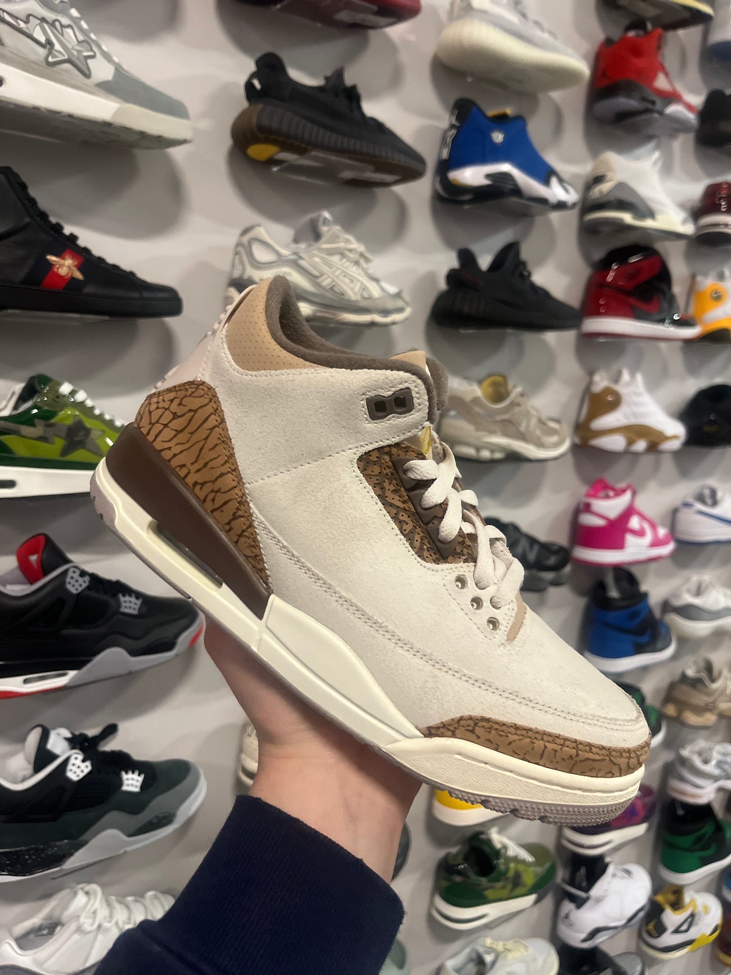 Jordan 3 Palomino / Brand New