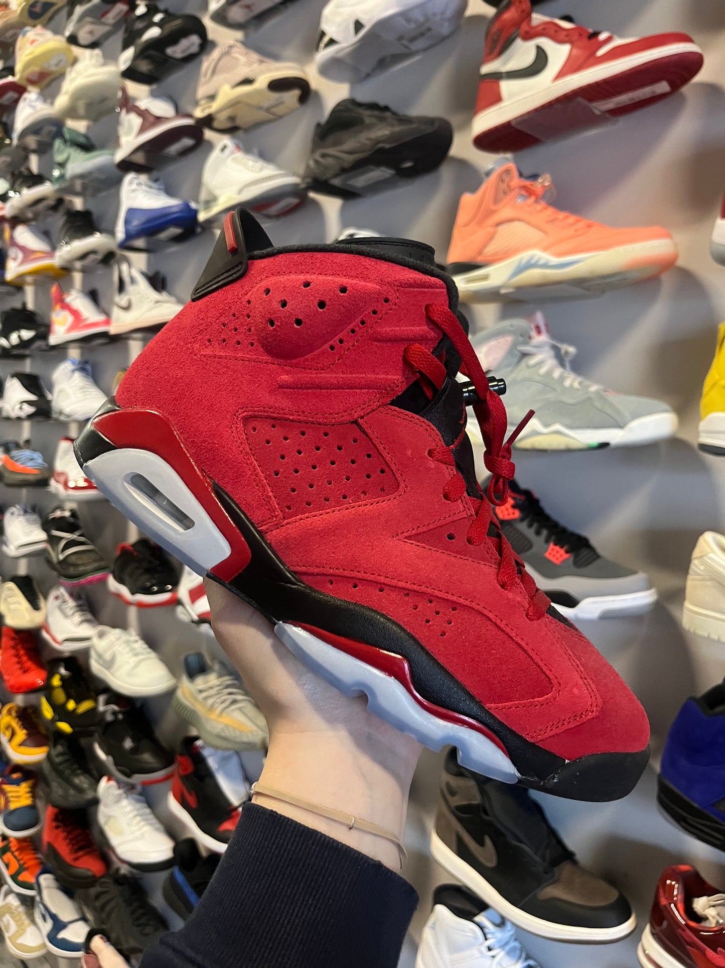 Jordan 6 Toro Bravo / Brand New