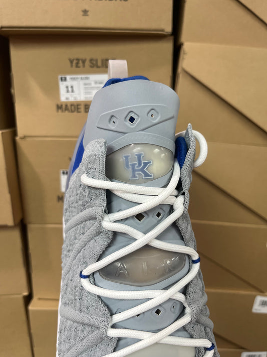 Lebron 18 Grey Kentucky PE / Brand New