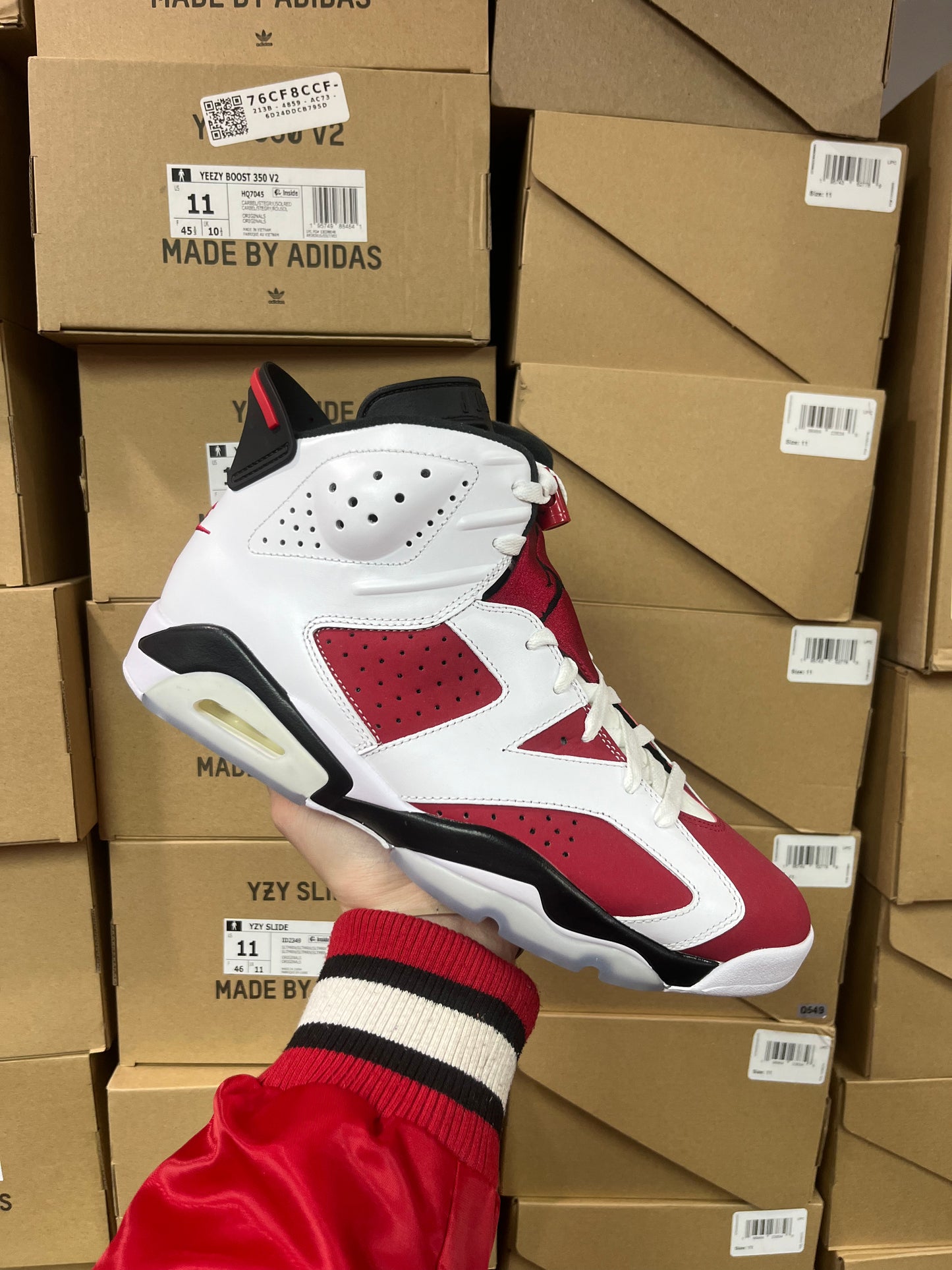 Jordan 6 Carmine / Brand New