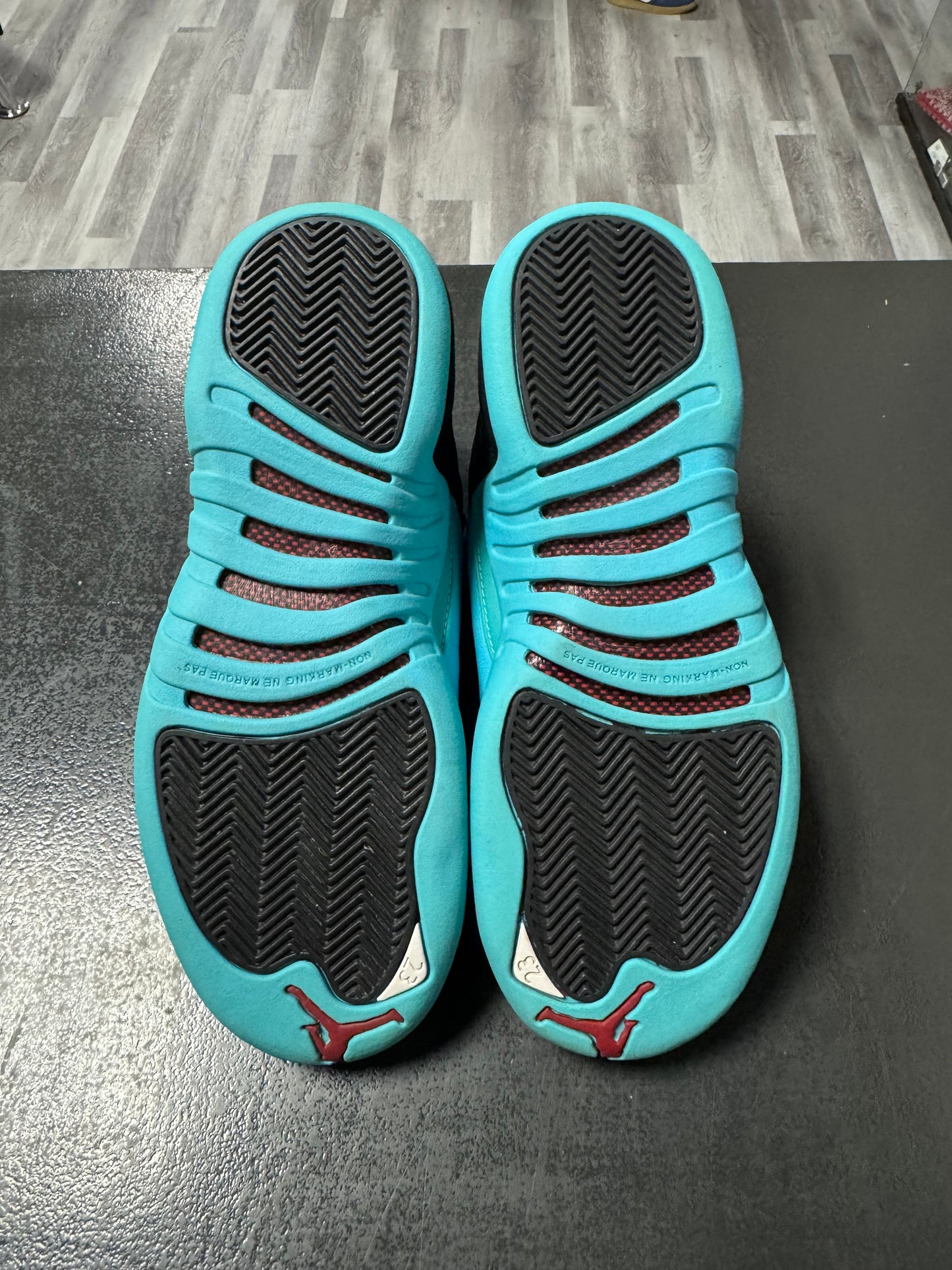 Jordan 12 Gamma Blue / Preowned