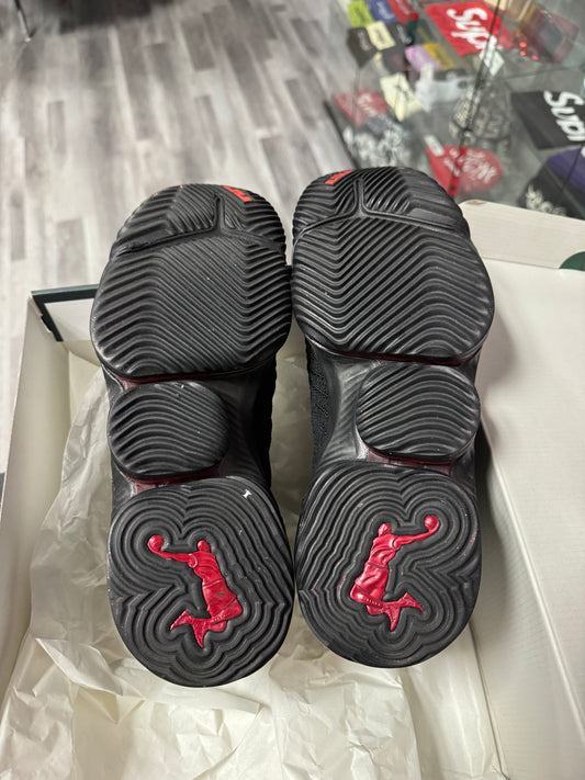 LeBron 16 Fresh Bred / Preowned