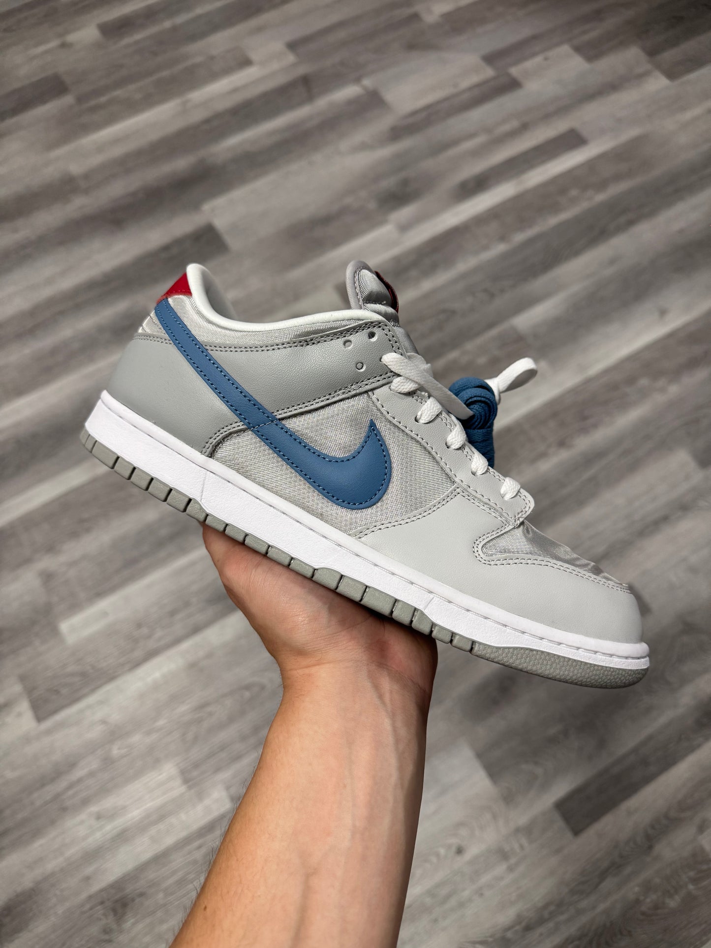 Dunk Low Silver Surfer / Brand New