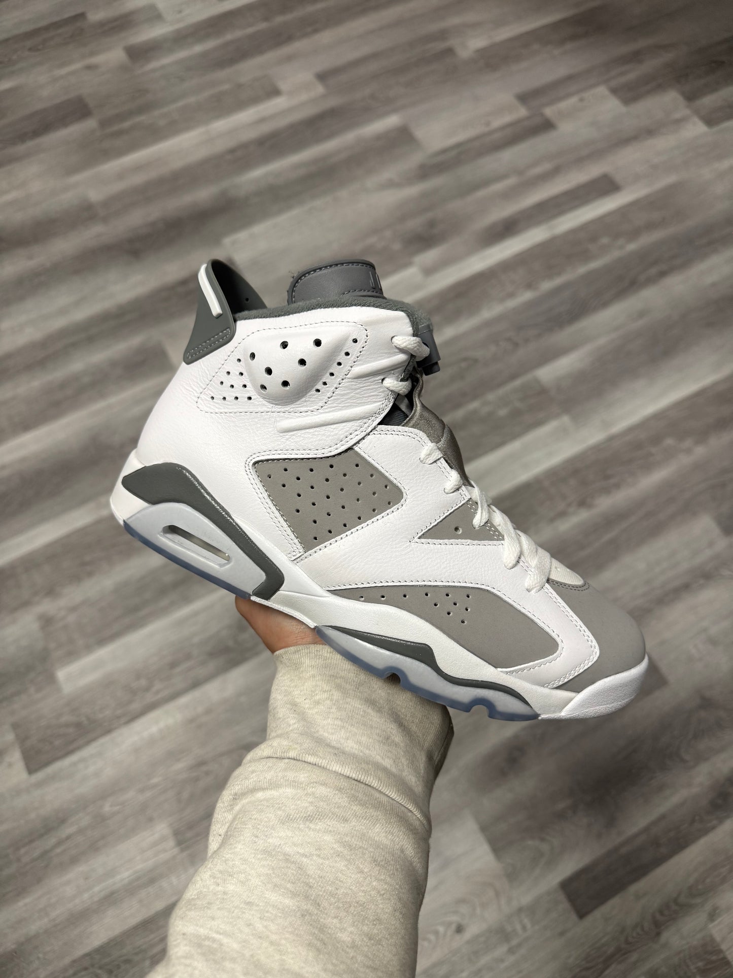 Jordan 6 Cool Grey / Brand New