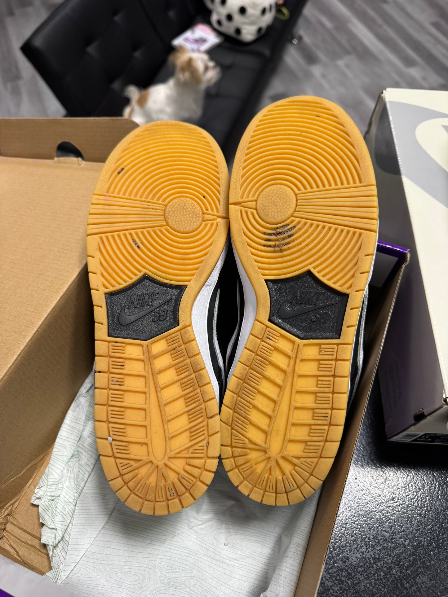Dunk Low SB Black Gum / Preowned