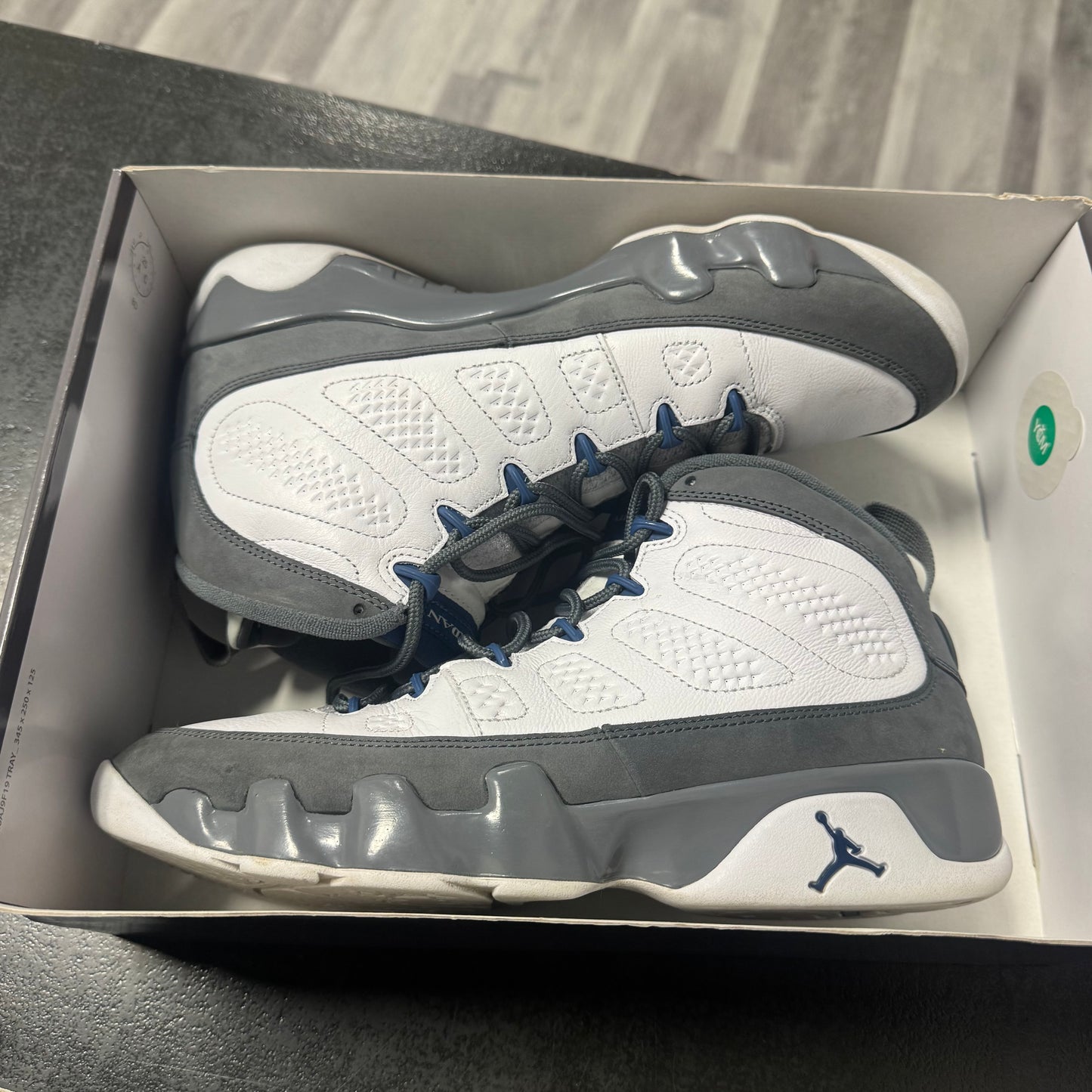 Jordan 9 Flint Grey French Blue / Preowned