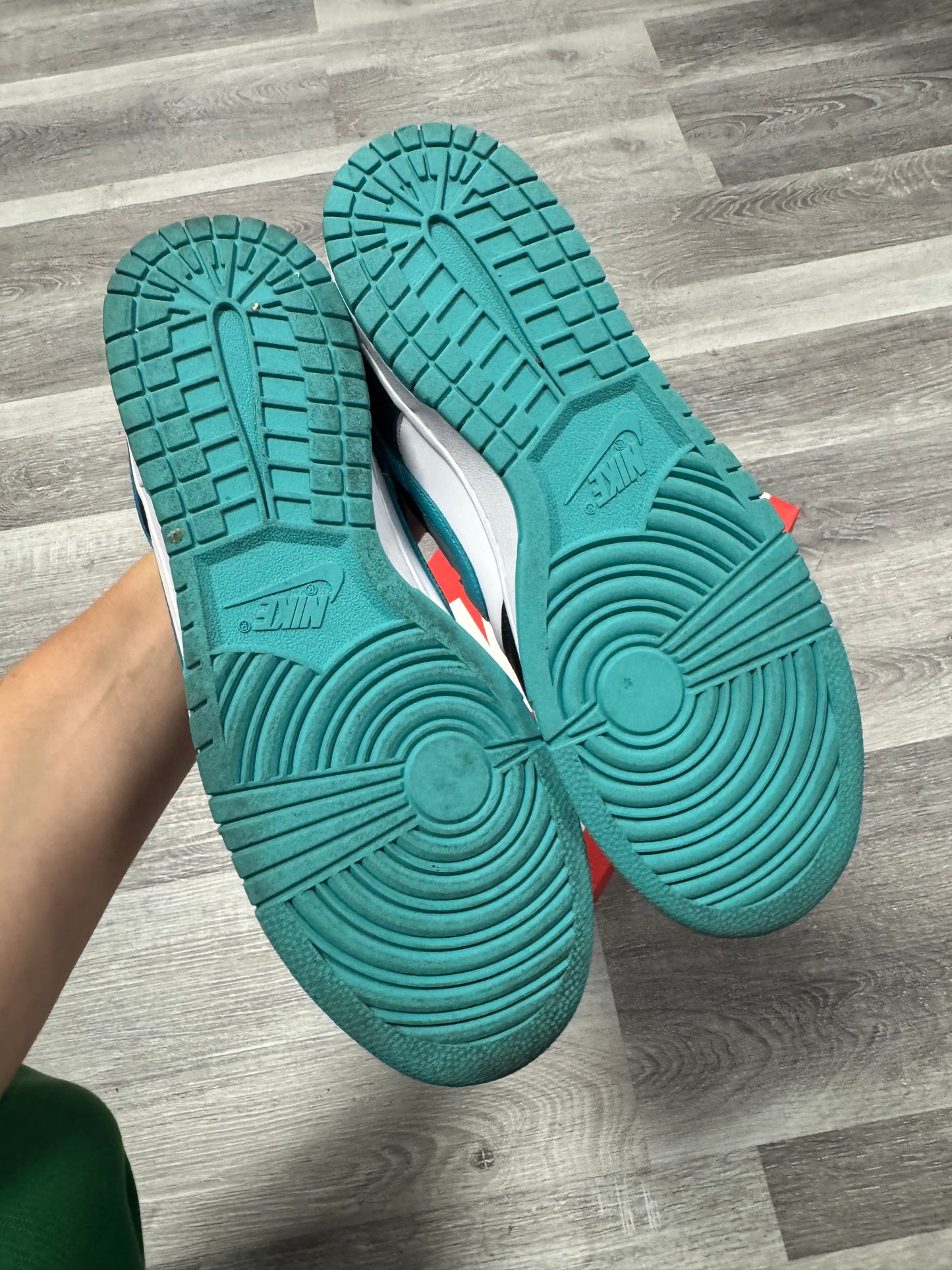 Dunk Low Dusty Cactus Black / Preowned