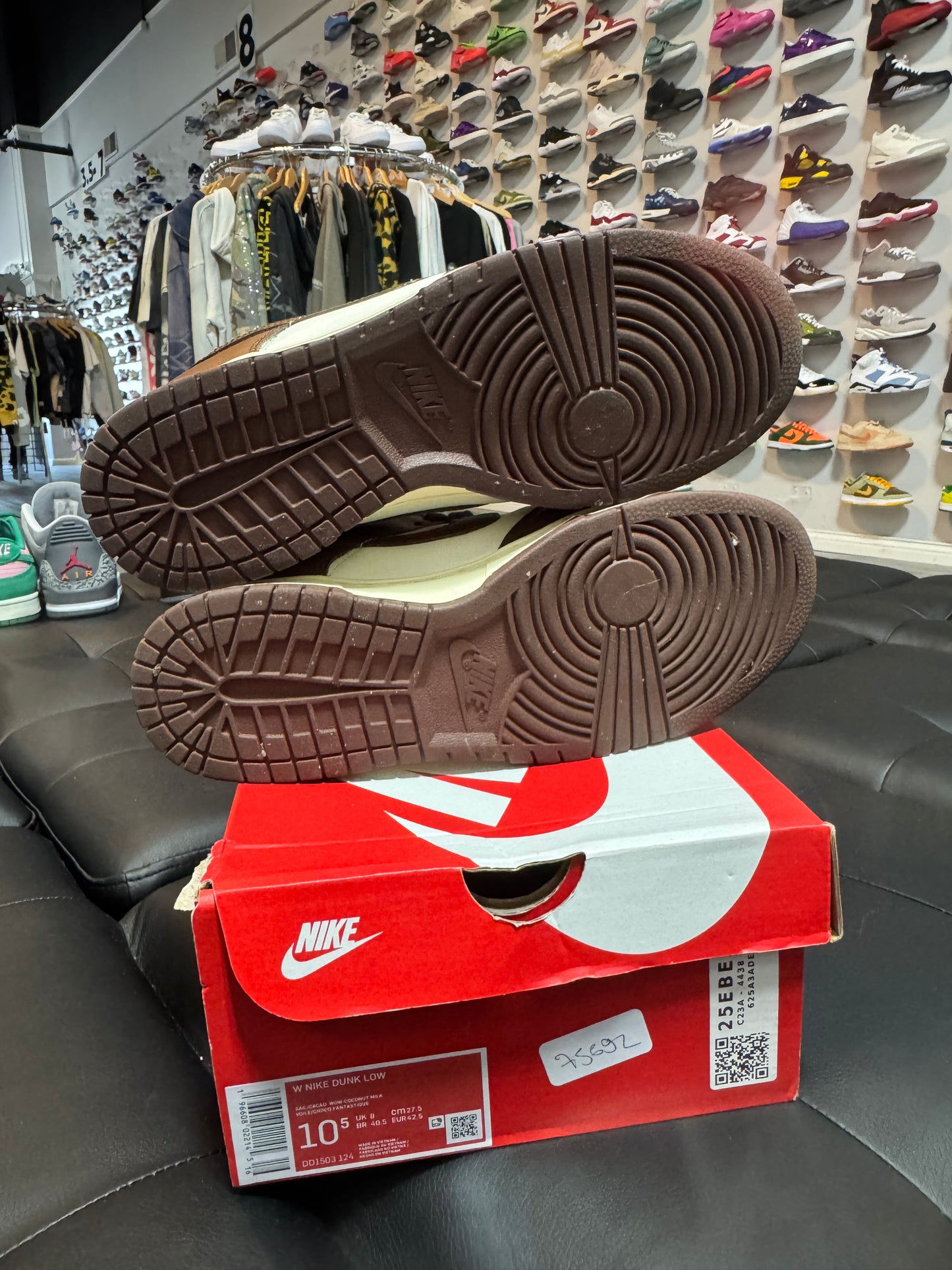 Dunk Low Cacao / Preowned