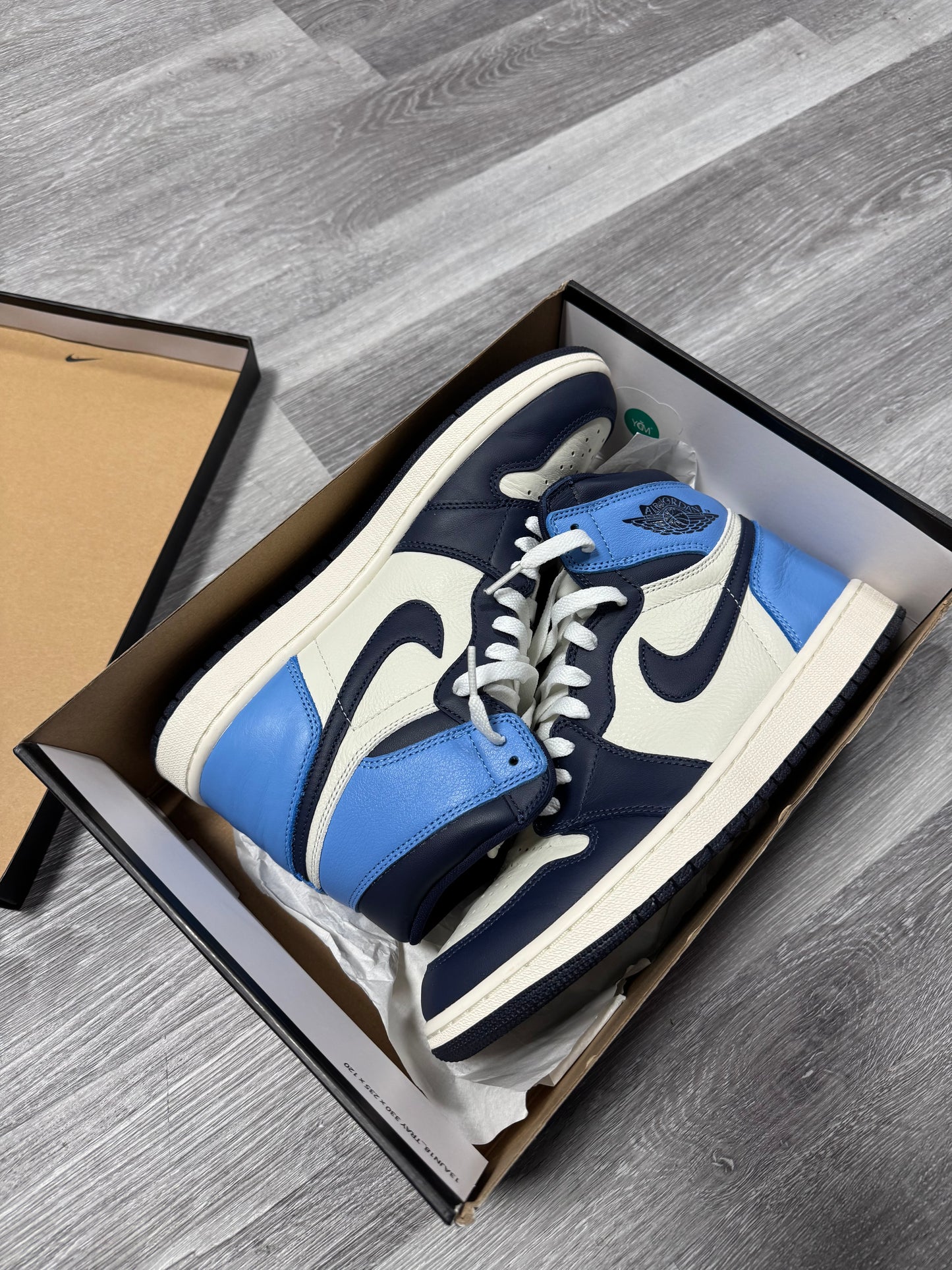 Jordan 1 Obsidian / Preowned