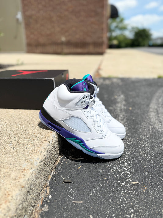 Jordan 5 Grape (2025) / Brand New