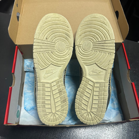 Dunk Low Rainbow Trout / Preowned