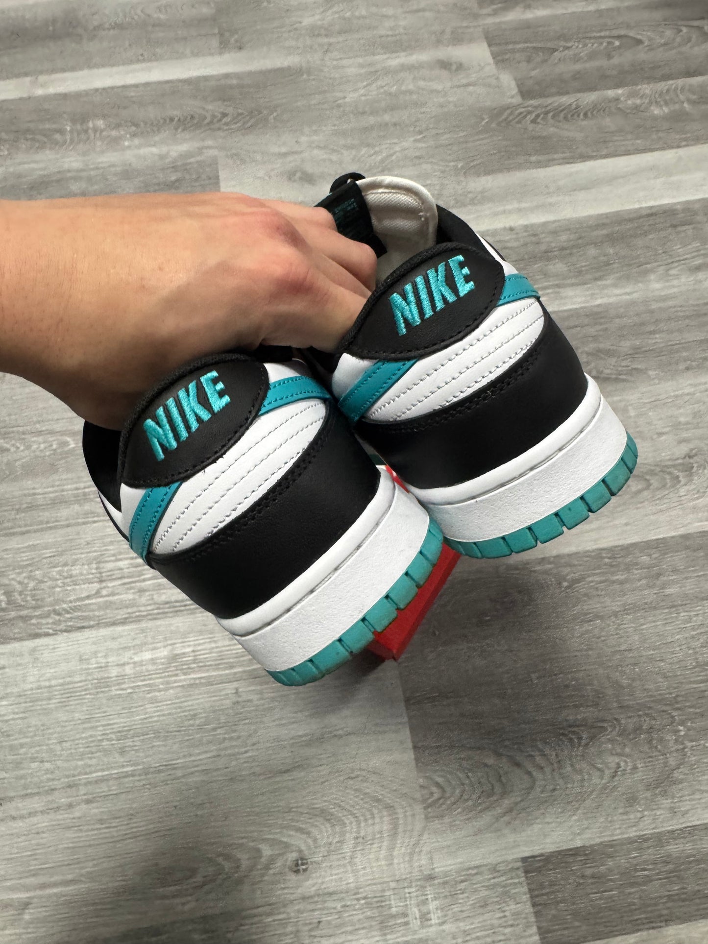 Dunk Low Dusty Cactus Black / Preowned