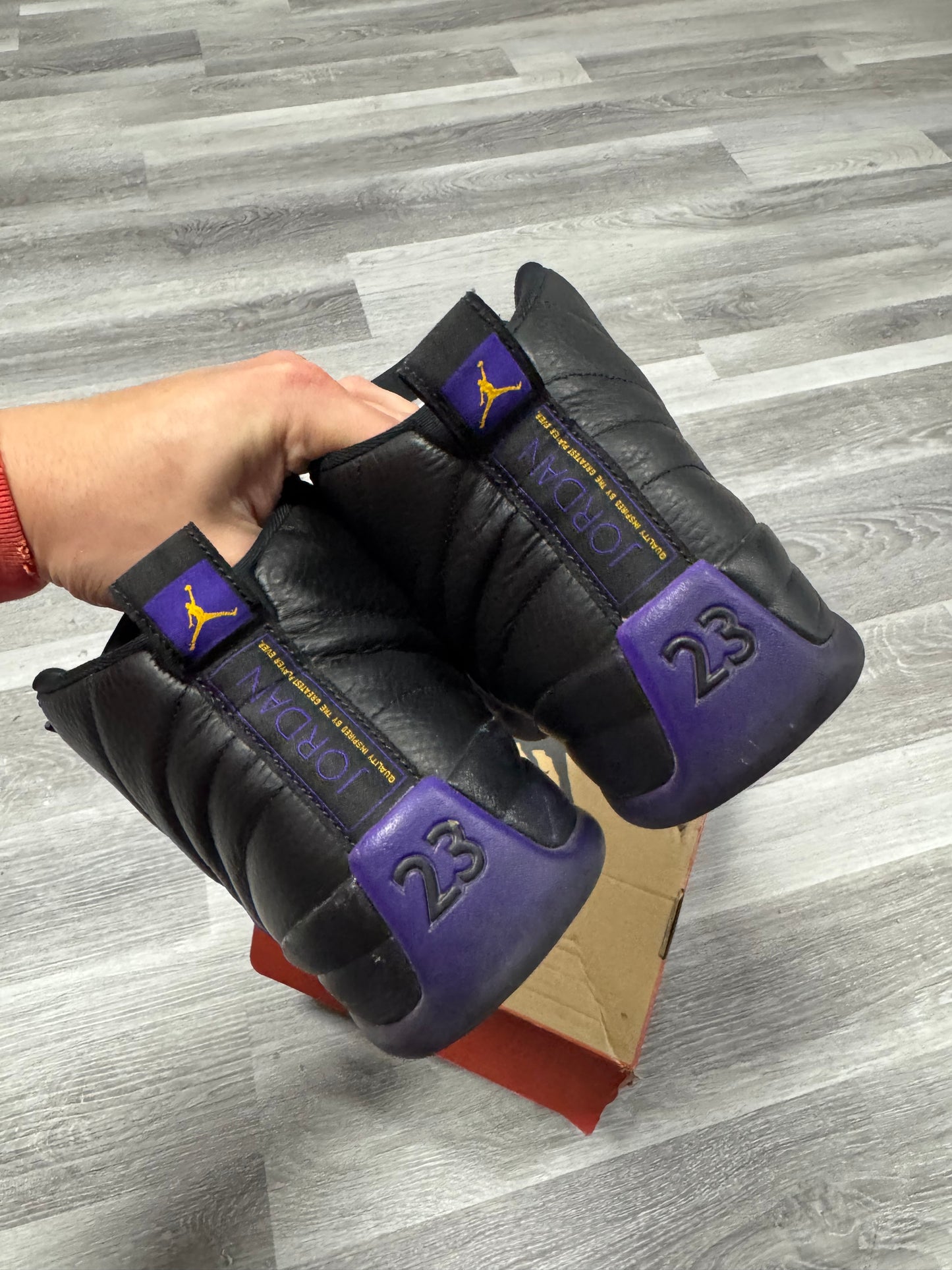 Jordan 12 Field Purple / Preowned